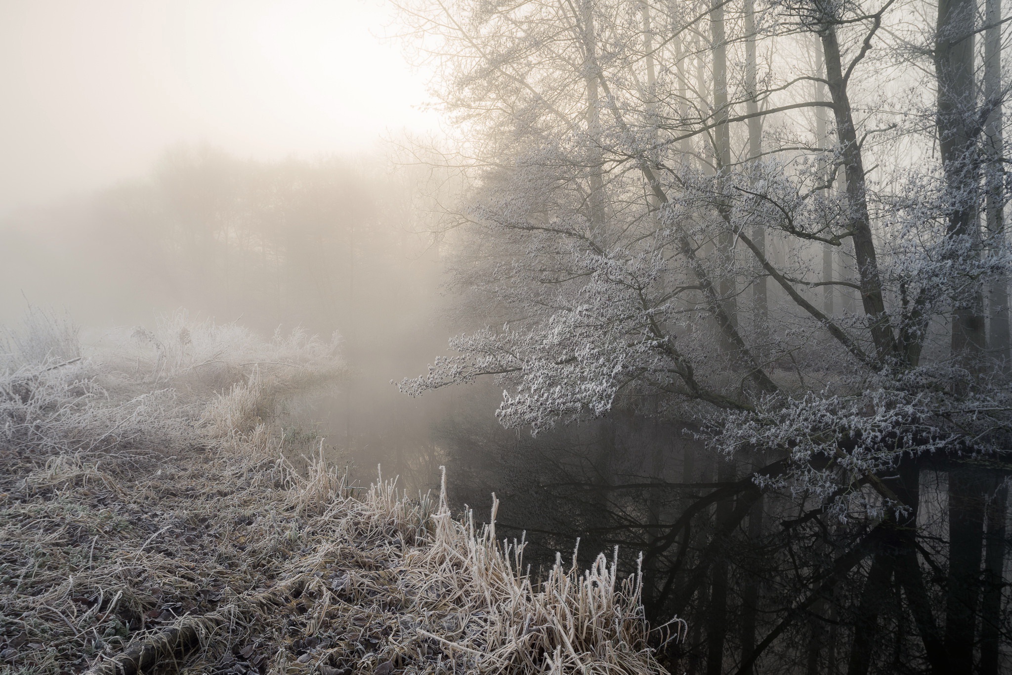 Handy-Wallpaper Winter, Natur, Nebel, Fluss, Erde/natur kostenlos herunterladen.