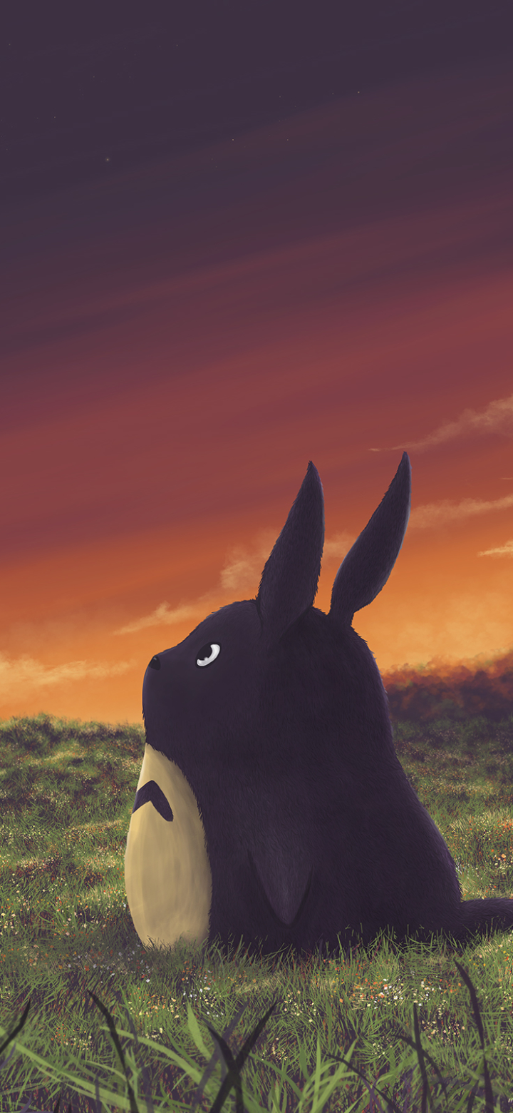 Download mobile wallpaper Anime, Totoro (My Neighbor Totoro), My Neighbor Totoro for free.