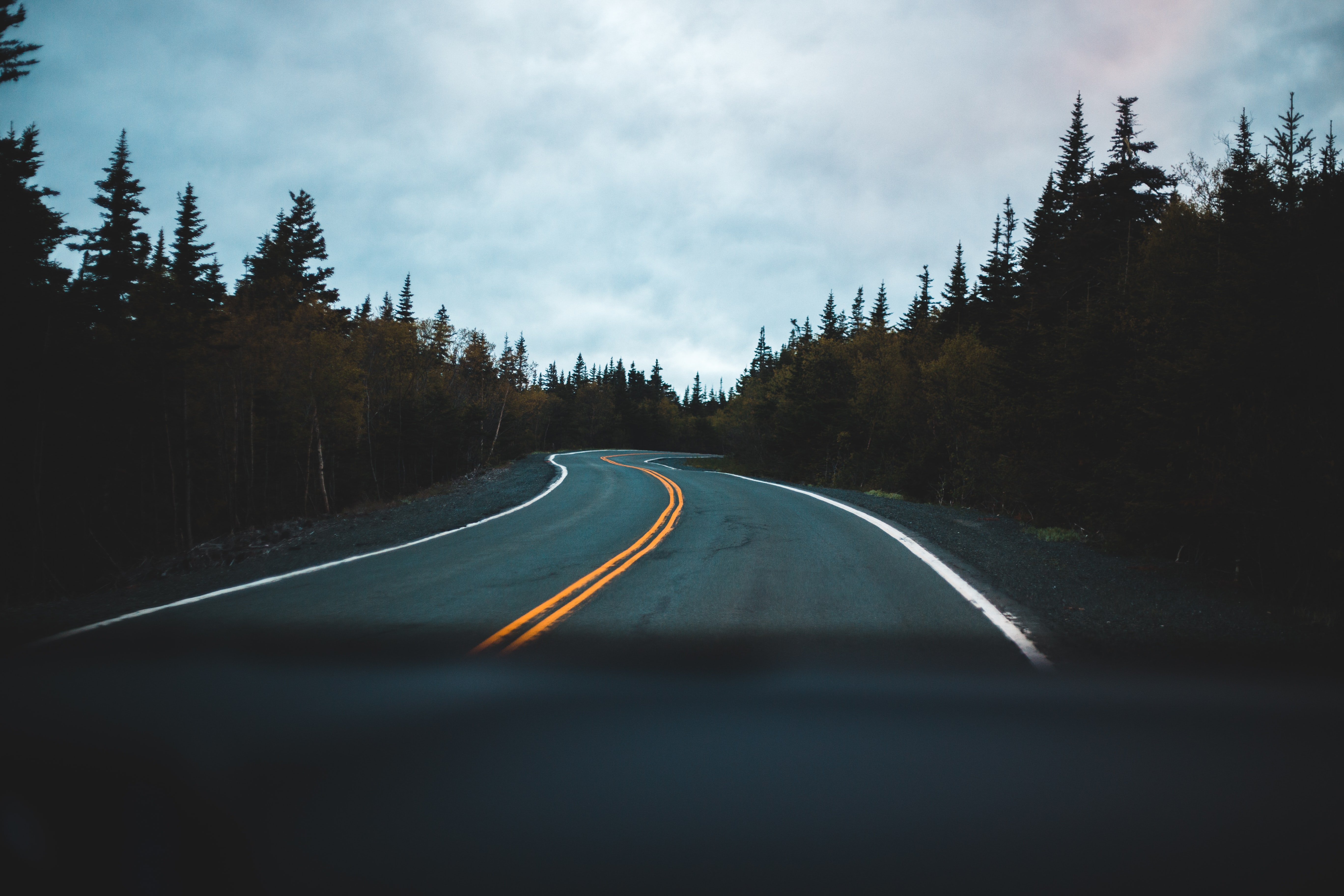 road, nature, trees, markup, winding, sinuous