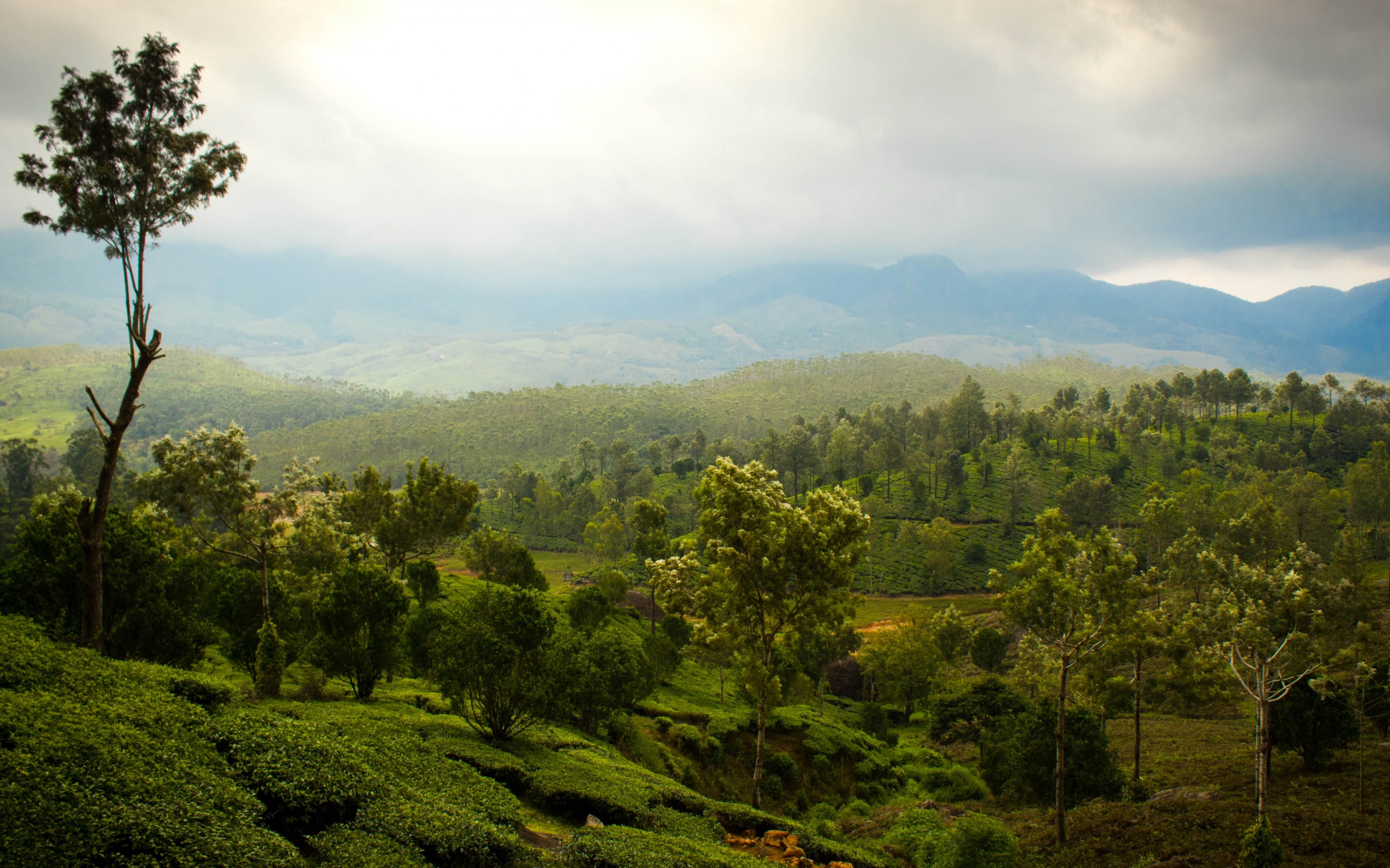 Descarga gratis la imagen Paisaje, Tierra/naturaleza en el escritorio de tu PC