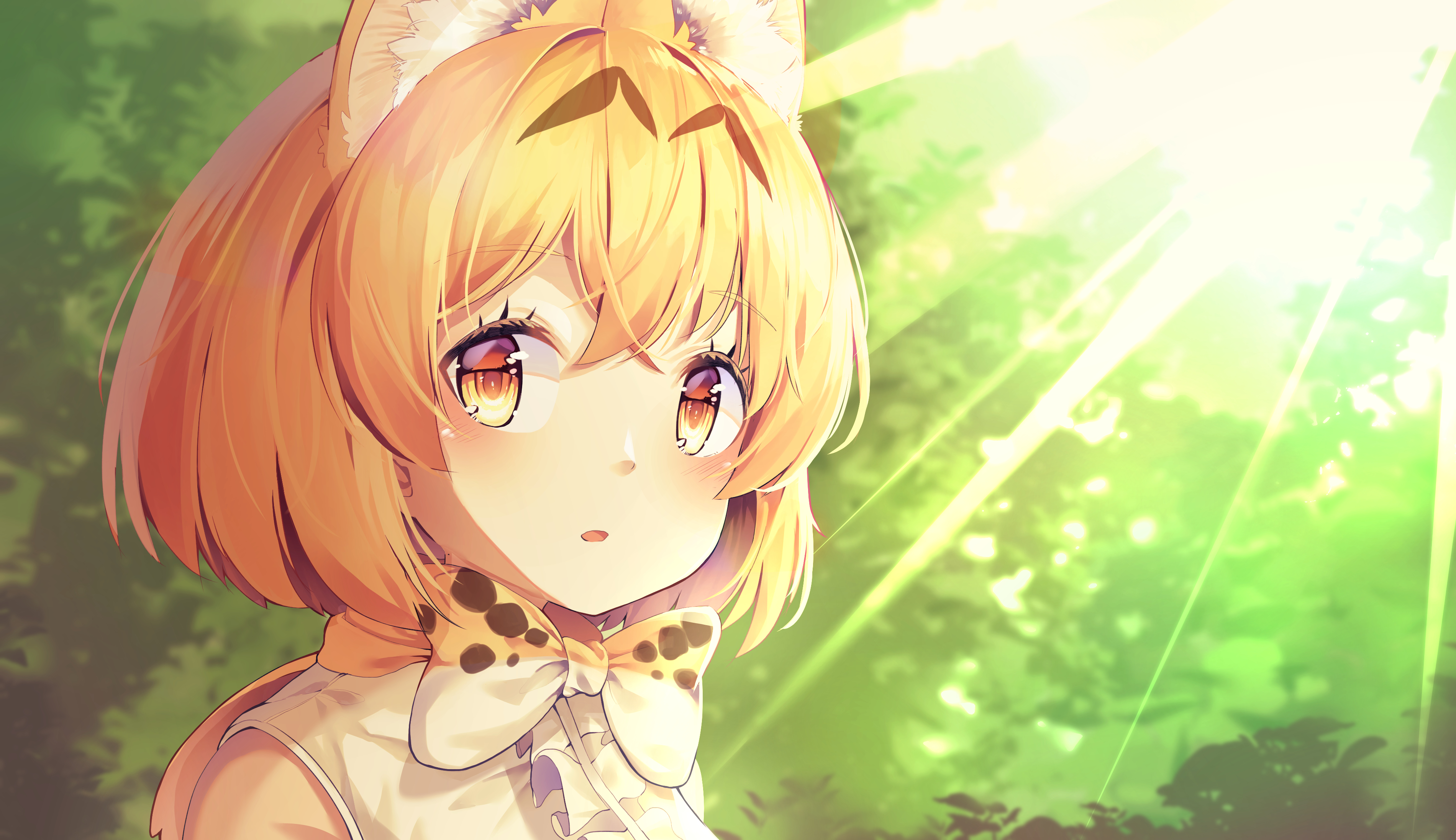 anime, kemono friends, cat girl, serval (kemono friends), sunlight