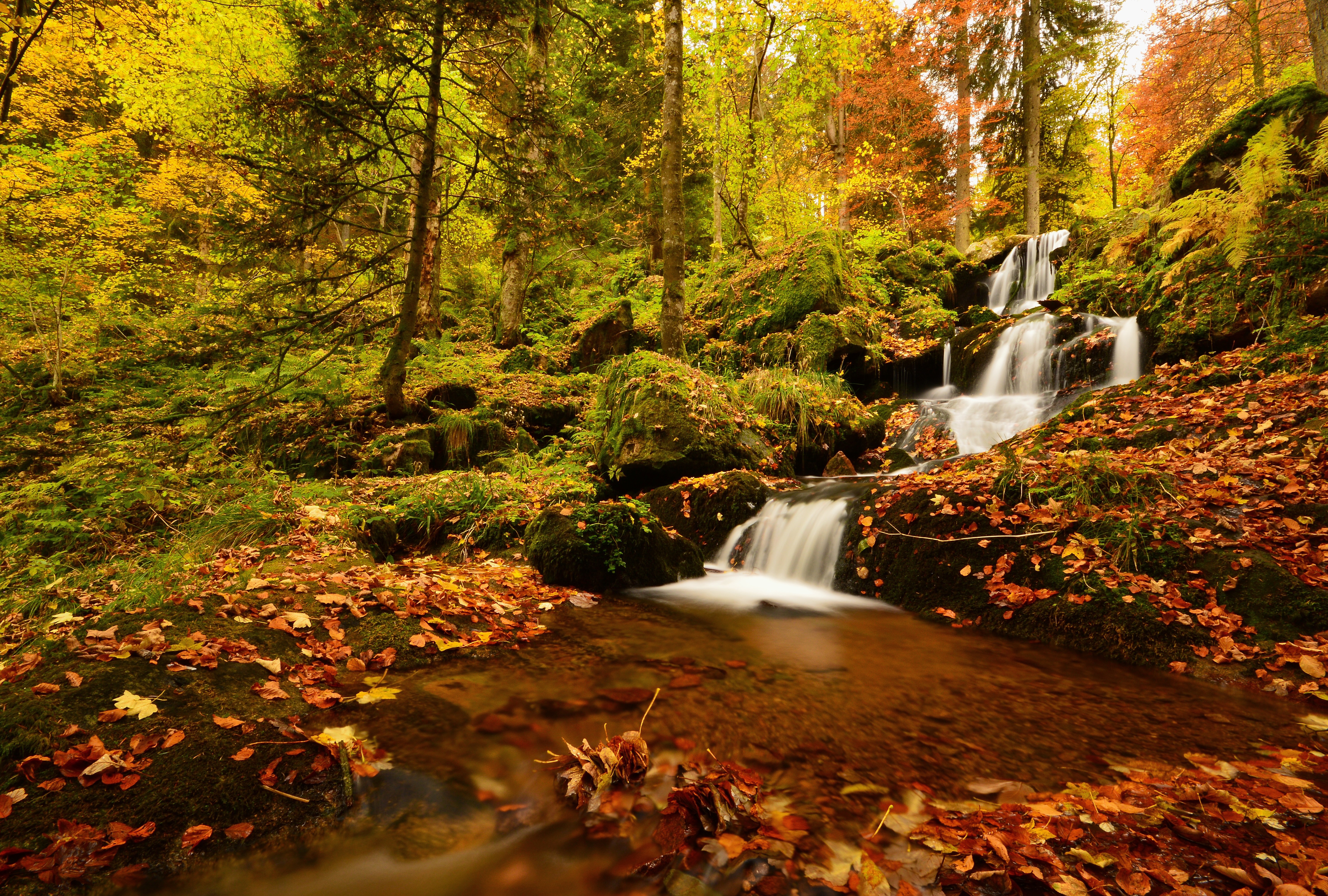 Скачать обои бесплатно Природа, Осень, Водопады, Водопад, Лес, Листва, Ручей, Земля/природа картинка на рабочий стол ПК