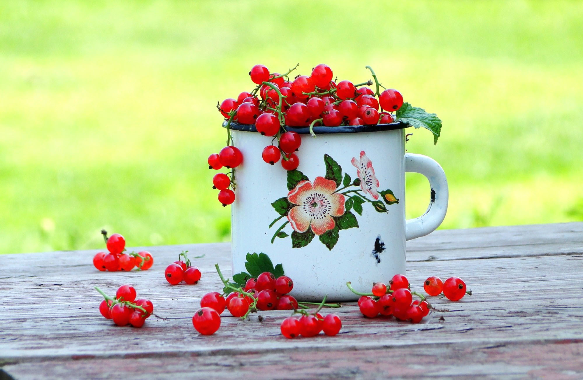 Free download wallpaper Food, Cup, Blur, Berry, Fruit, Currants on your PC desktop