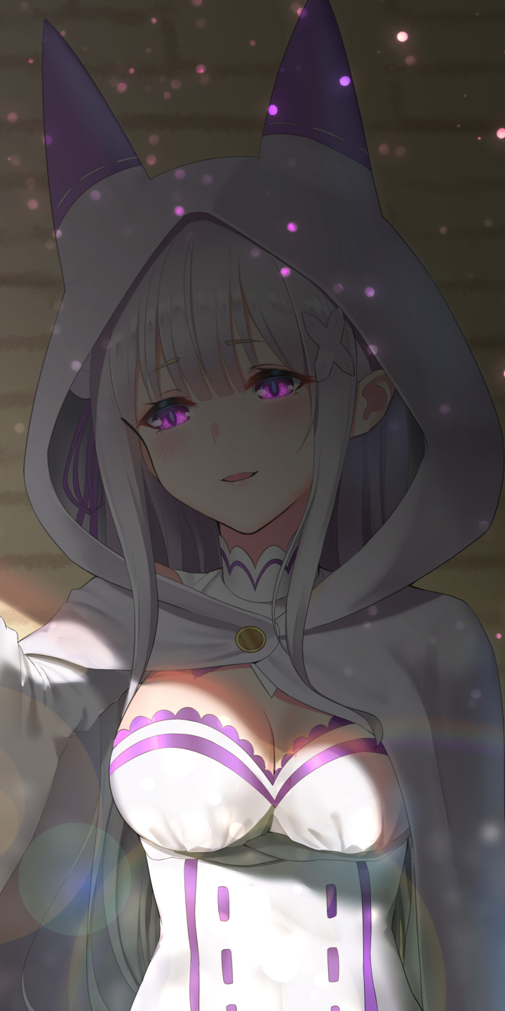 Handy-Wallpaper Animes, Emilia (Re: Zero), Re:zero Das Leben In Einer Anderen Welt Beginnen kostenlos herunterladen.