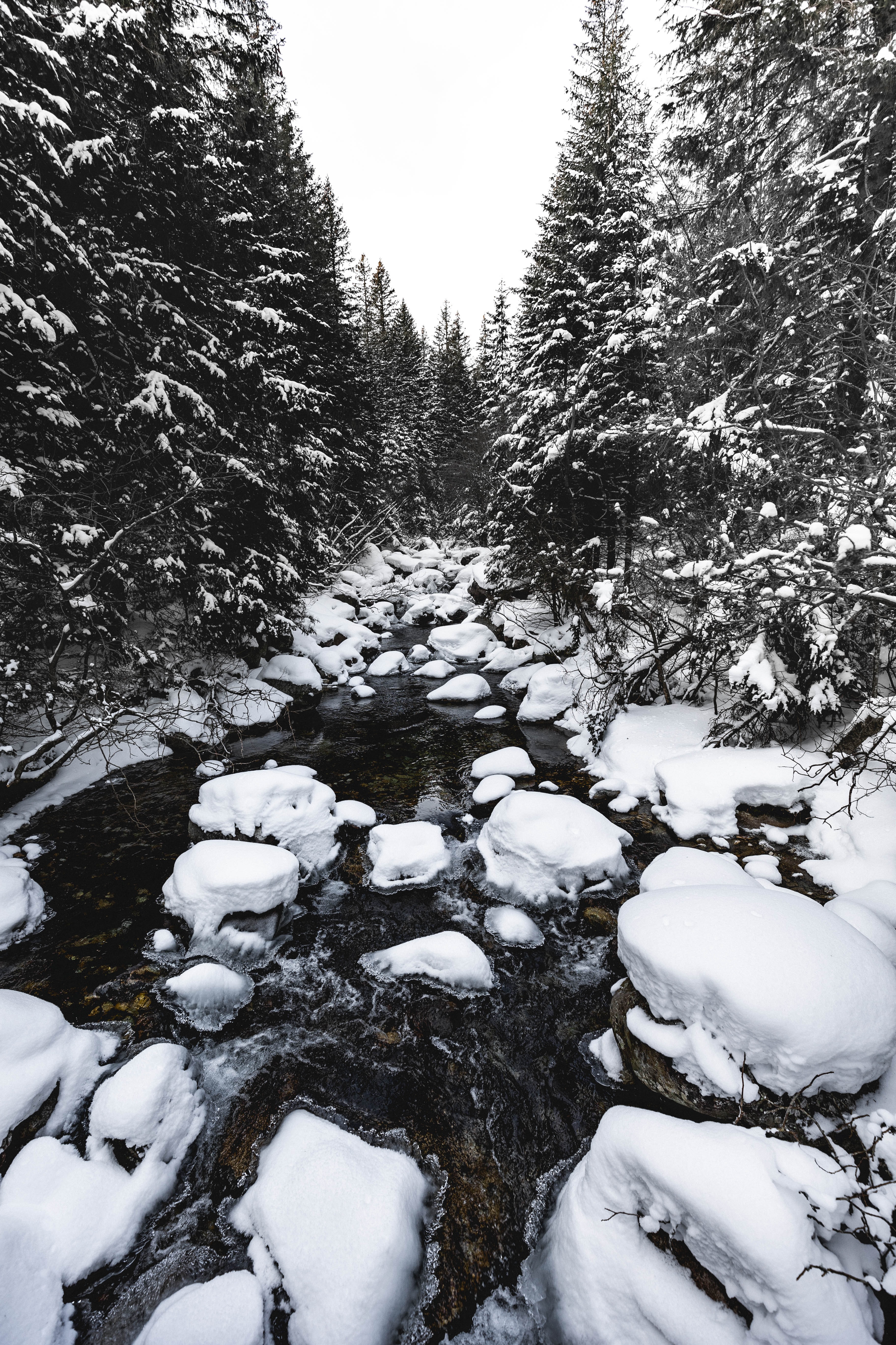 Download mobile wallpaper Snow, Trees, Stones, Winter, Rivers, Water, Nature for free.