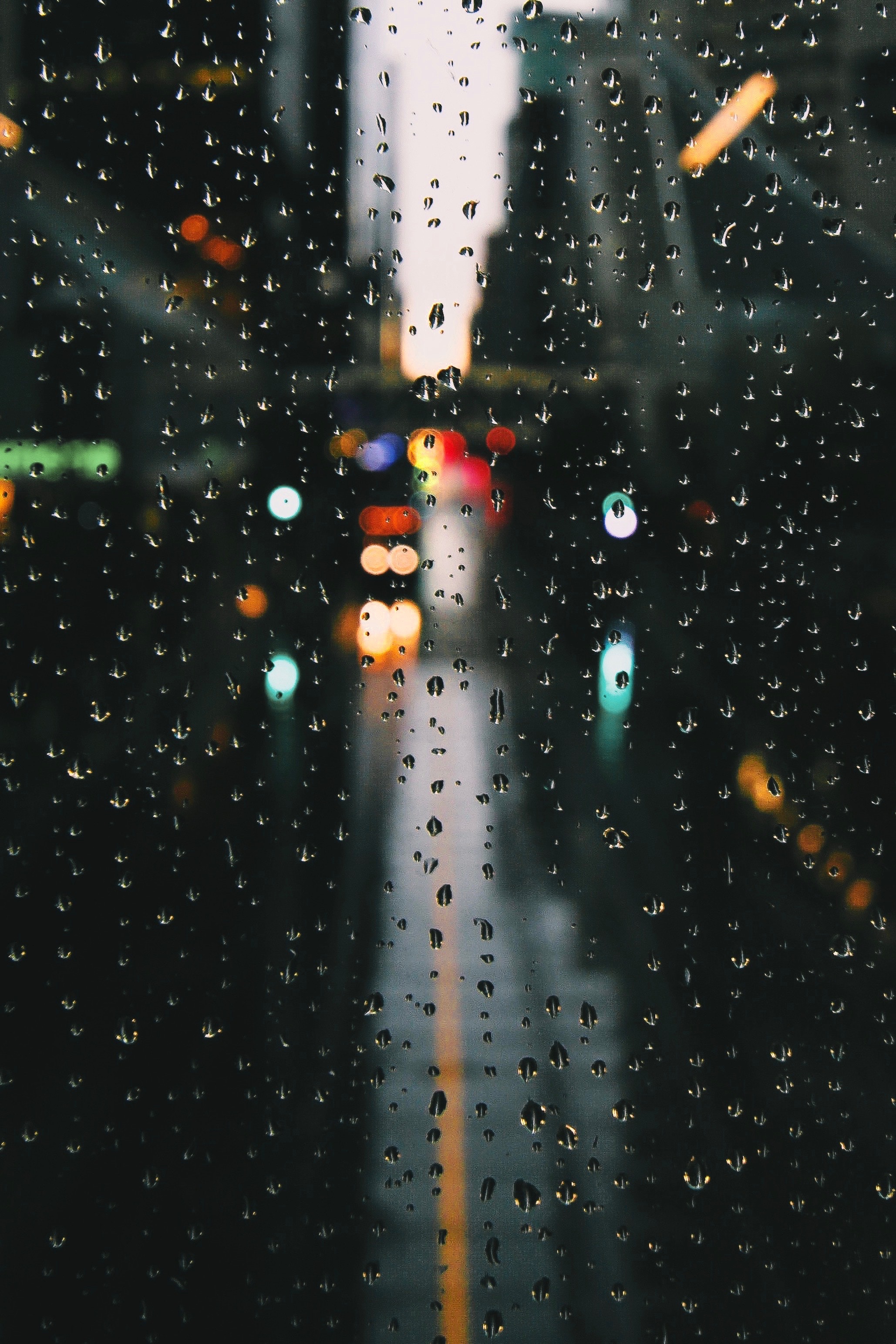 boquet, moisture, rain, glass, drops, macro, glare, surface, window, bokeh