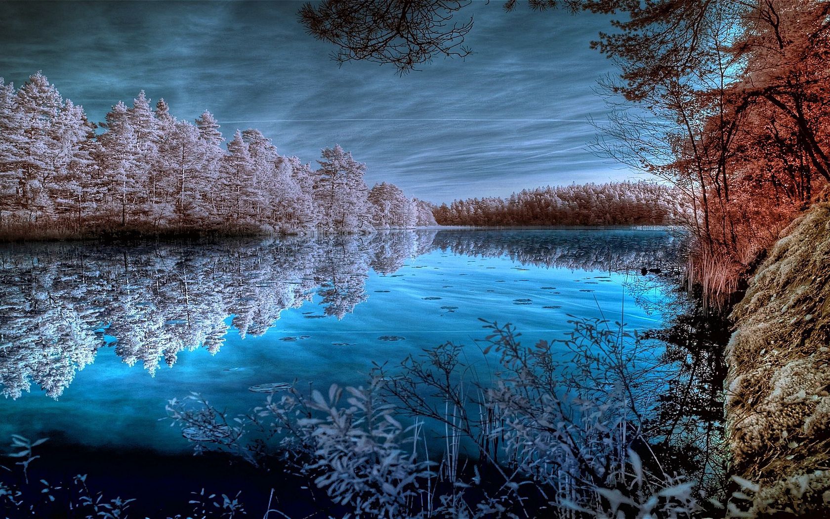 nature, trees, sky, white, blue, lake, reflection, colors, color, frost, hoarfrost, cold, shades
