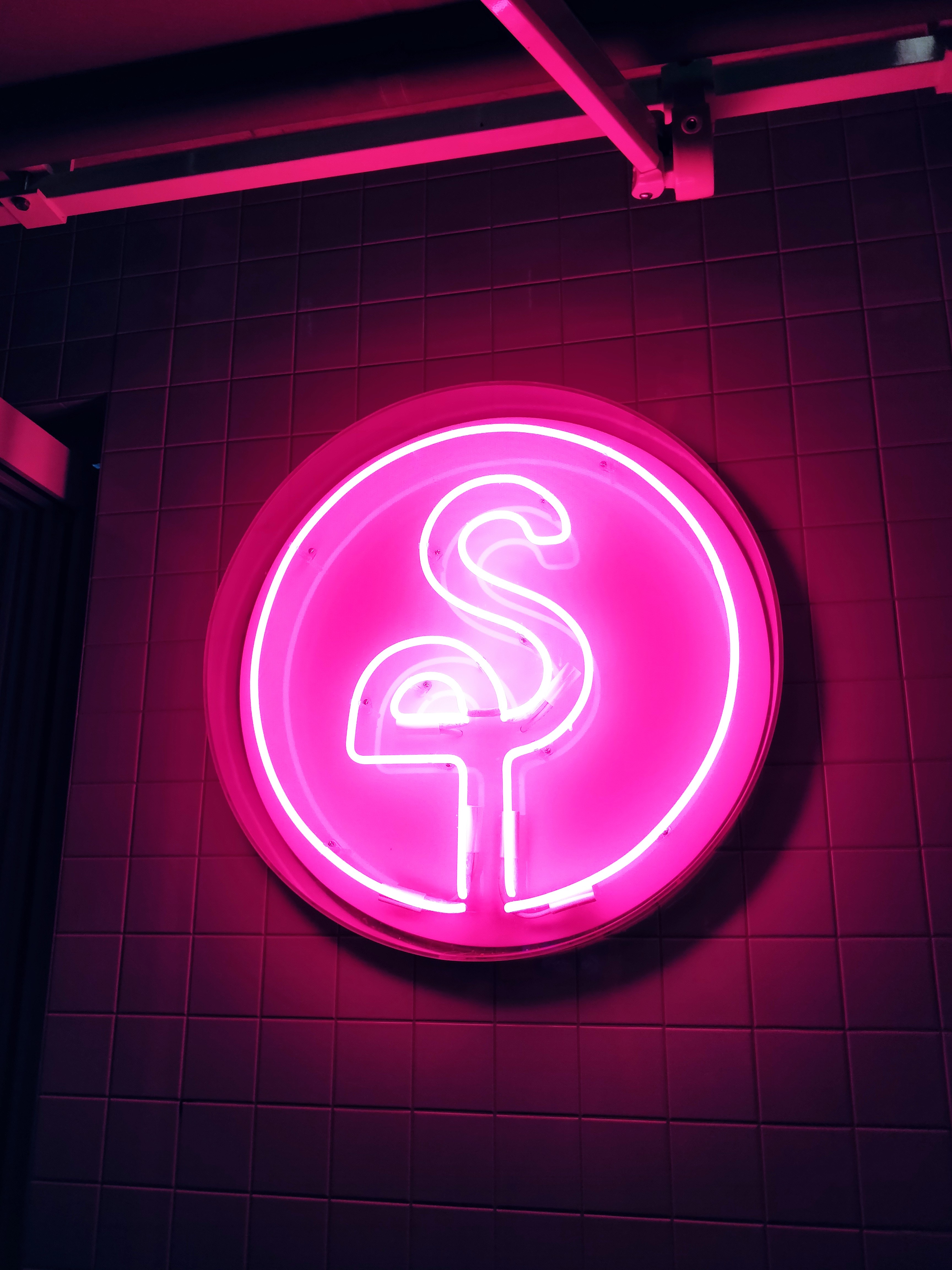 neon, pink, flamingo, miscellanea, miscellaneous, glow, sign, signboard, electricity Image for desktop