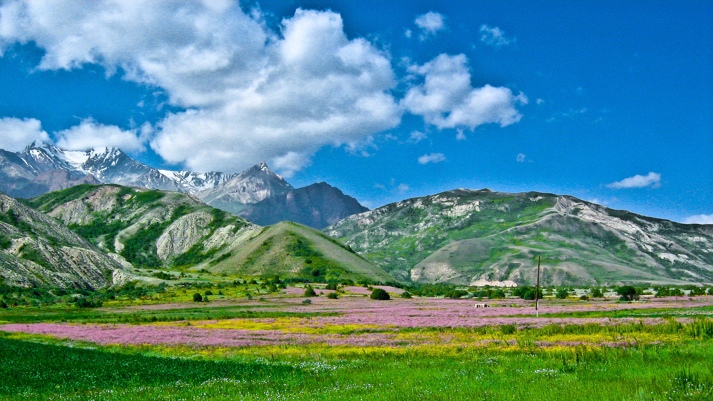 52860 скачать обои алай, кыргызстан, юг, природа - заставки и картинки бесплатно