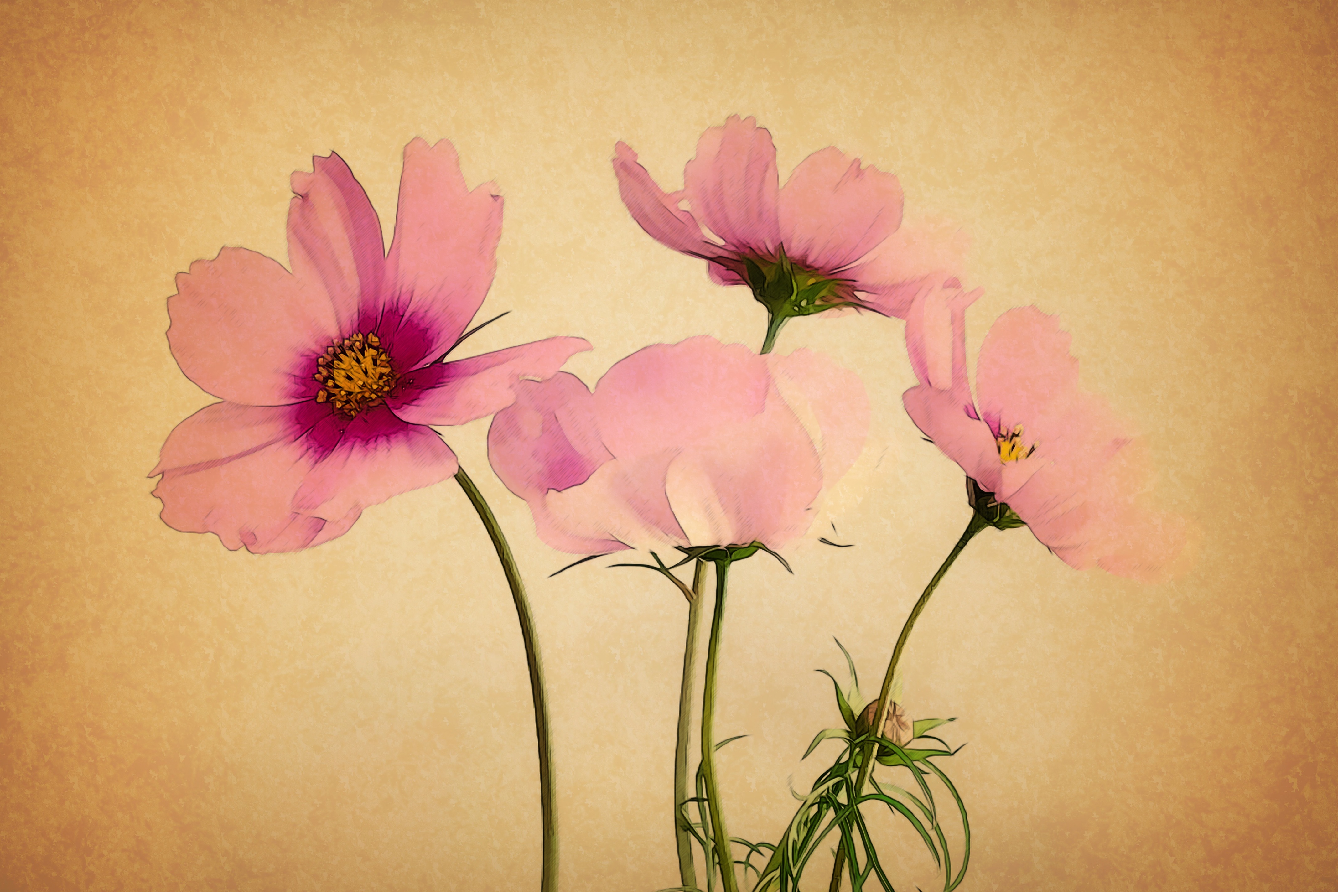 Free download wallpaper Flowers, Flower, Painting, Artistic, Cosmos, Pink Flower on your PC desktop