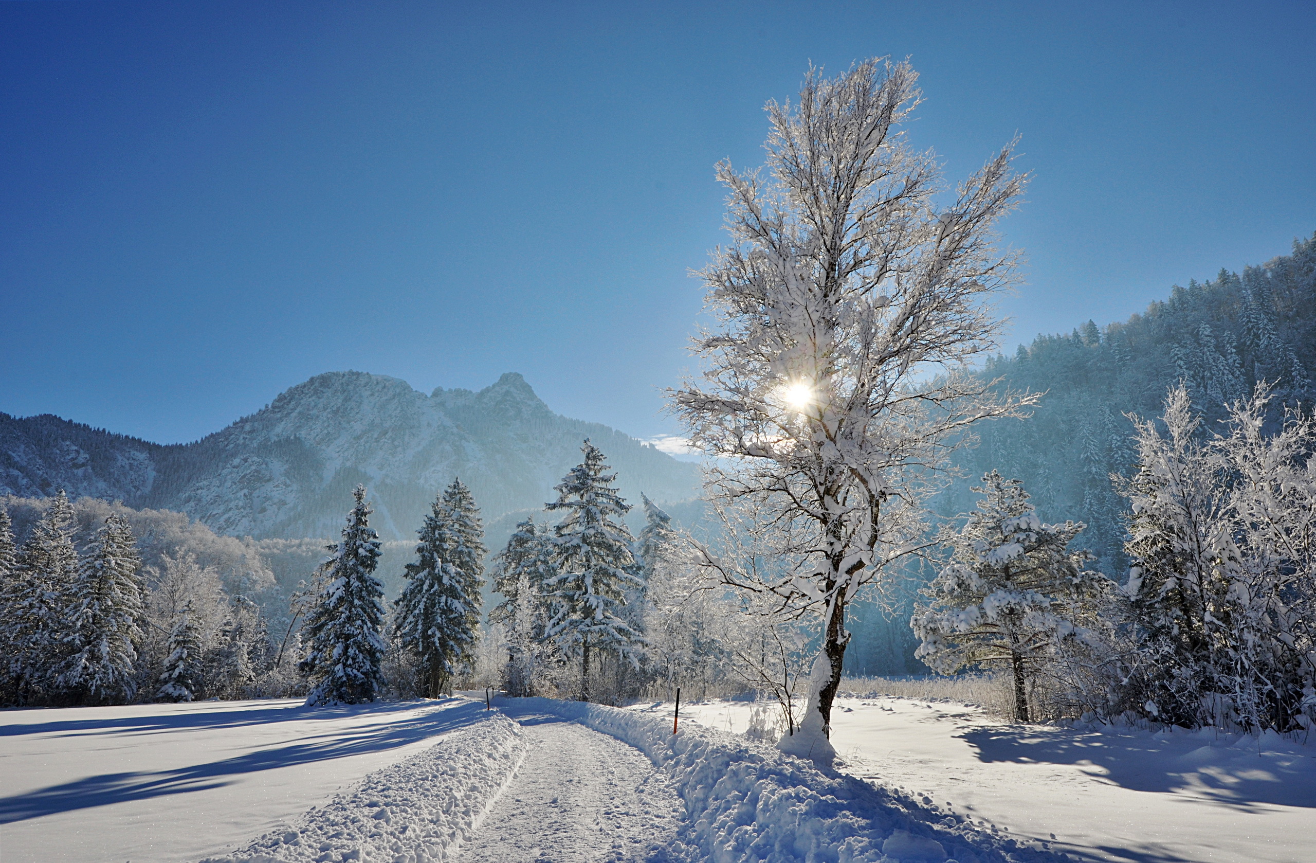 Скачать обои бесплатно Зима, Природа, Снег, Дорога, Дерево, Земля/природа картинка на рабочий стол ПК
