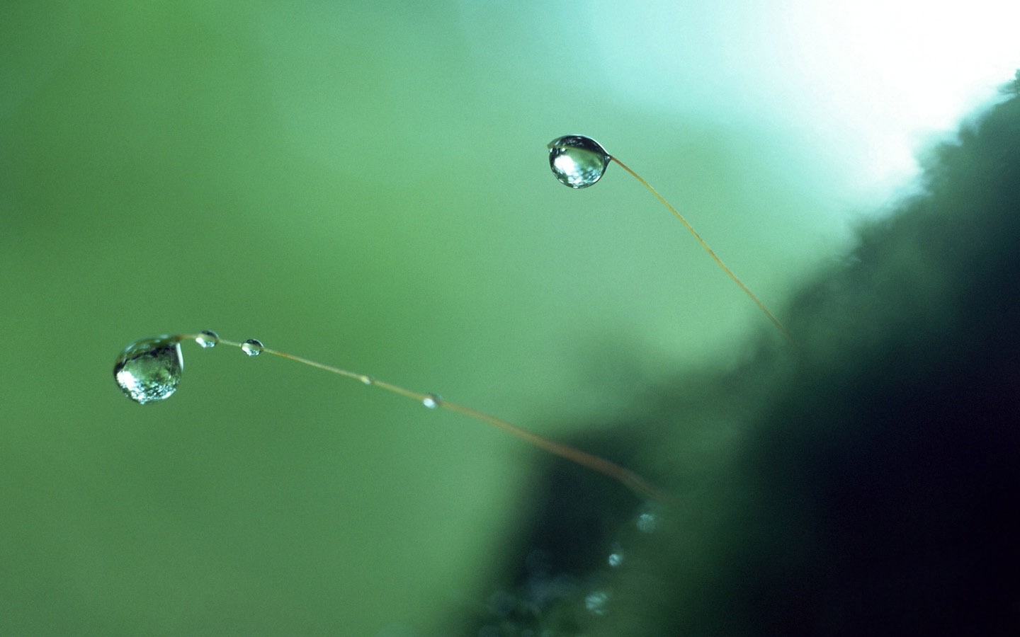 drops, objects, green for Windows