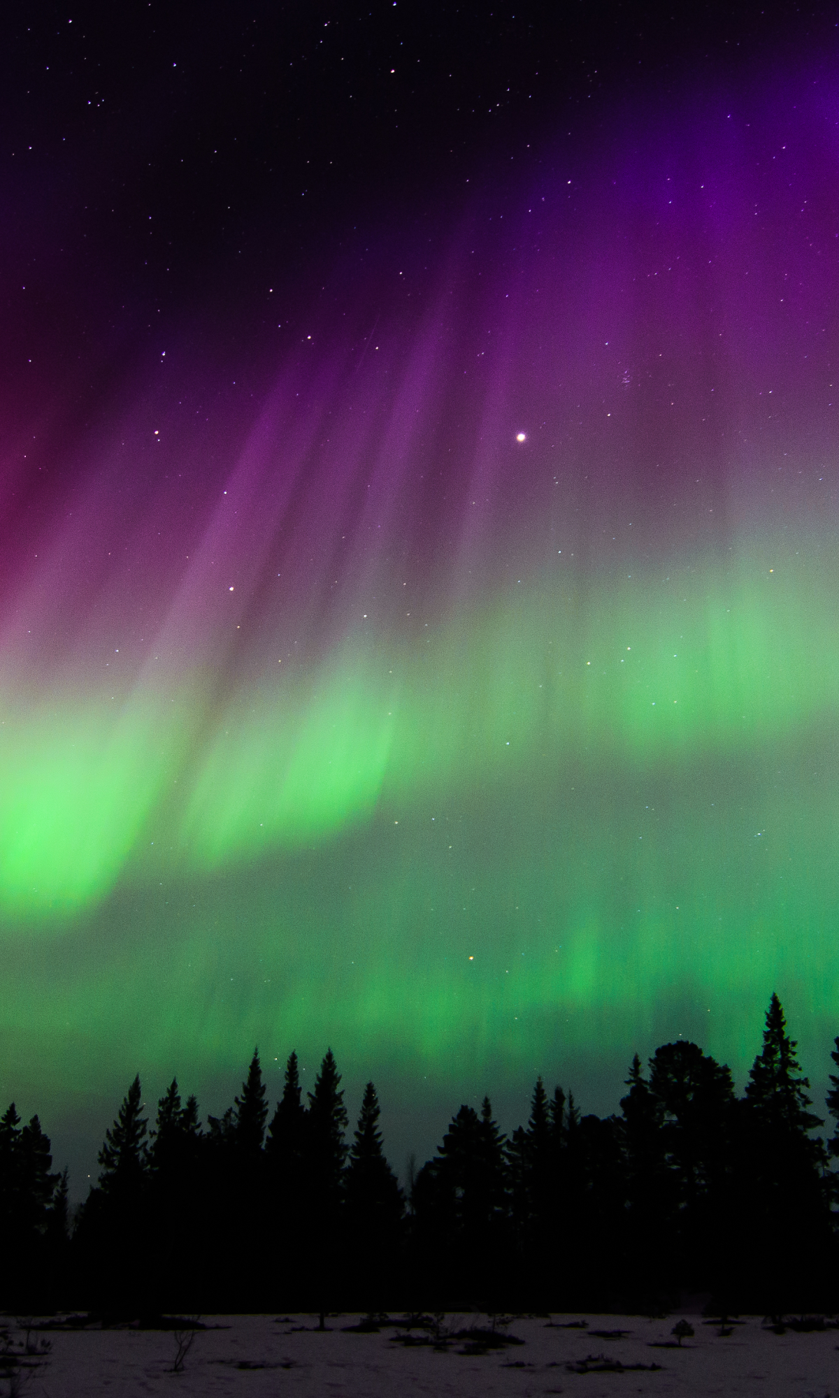 Скачать картинку Небо, Звезды, Северное Сияние, Норвегия, Земля/природа в телефон бесплатно.