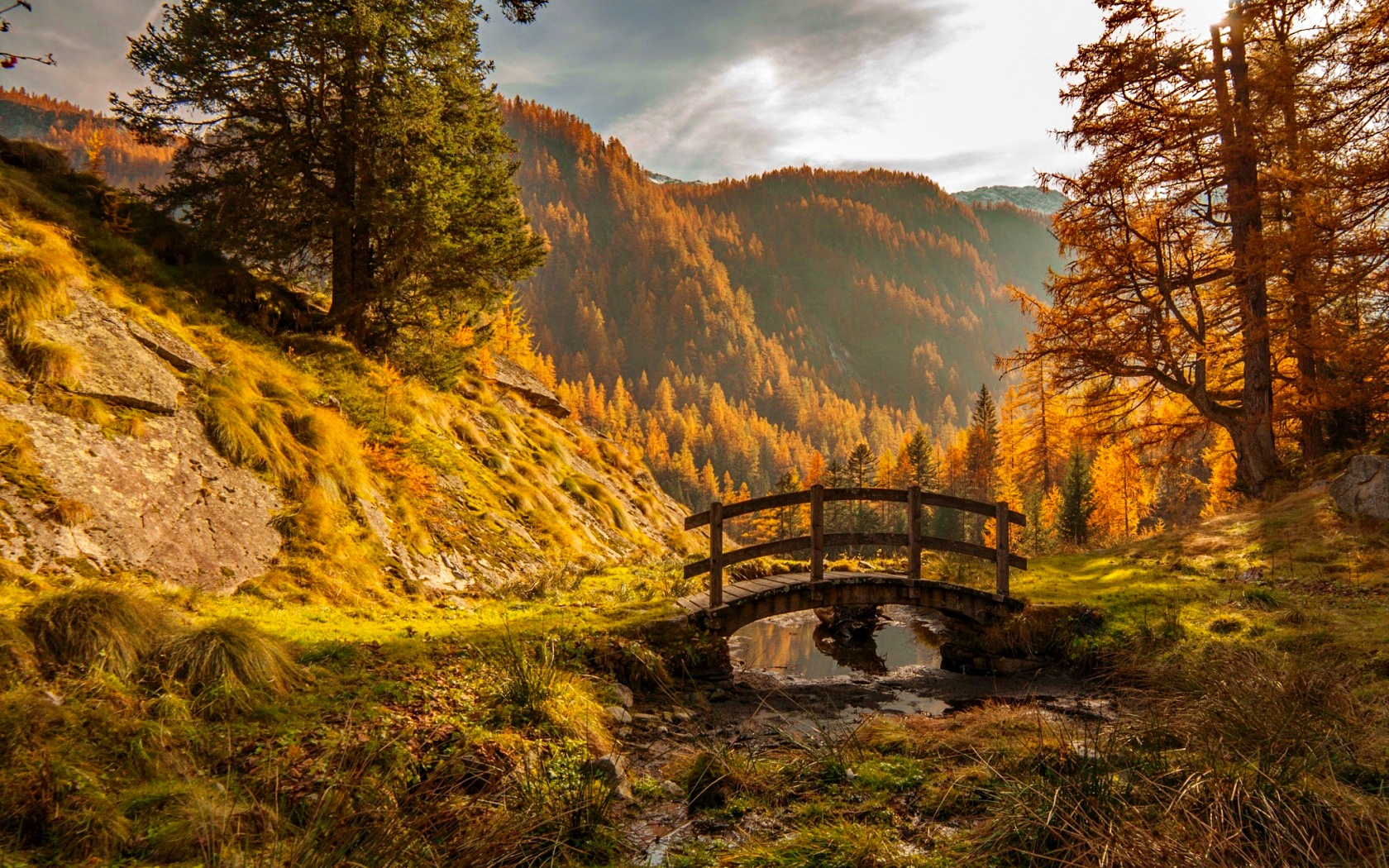 Laden Sie das Herbst, Wald, Baum, Brücke, Gebirge, Brücken, Menschengemacht-Bild kostenlos auf Ihren PC-Desktop herunter