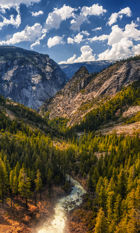 Baixar papel de parede para celular de Rio, Montanha, Floresta, Árvore, Terra, Terra/natureza gratuito.