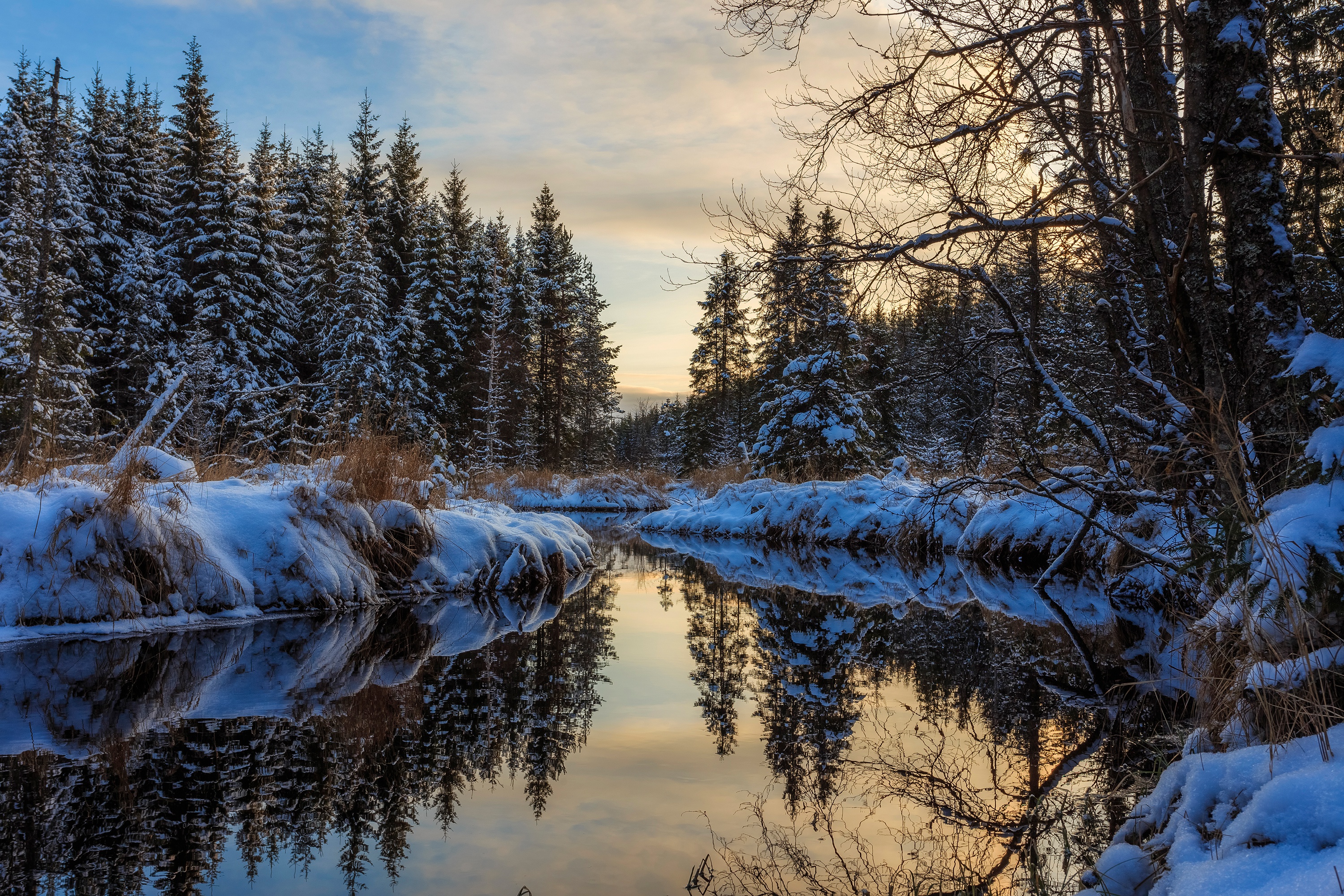 Download mobile wallpaper Winter, Nature, Snow, Reflection, Forest, Tree, Earth, River for free.