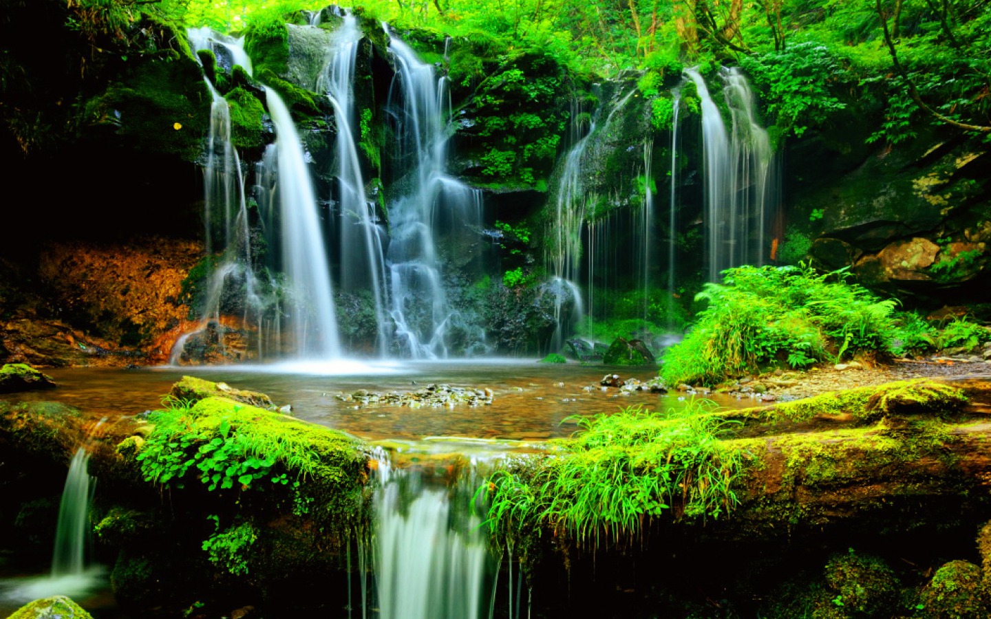Скачать обои бесплатно Водопады, Водопад, Лес, Зеленый, Земля/природа картинка на рабочий стол ПК