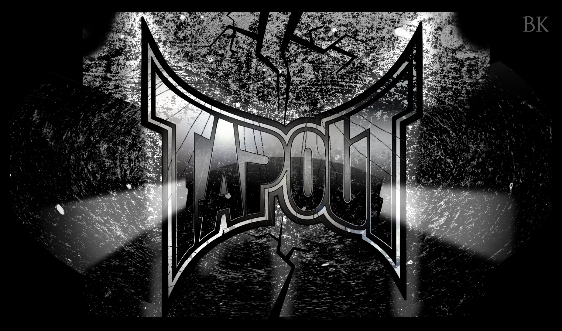 sports, mixed martial arts, tapout inc