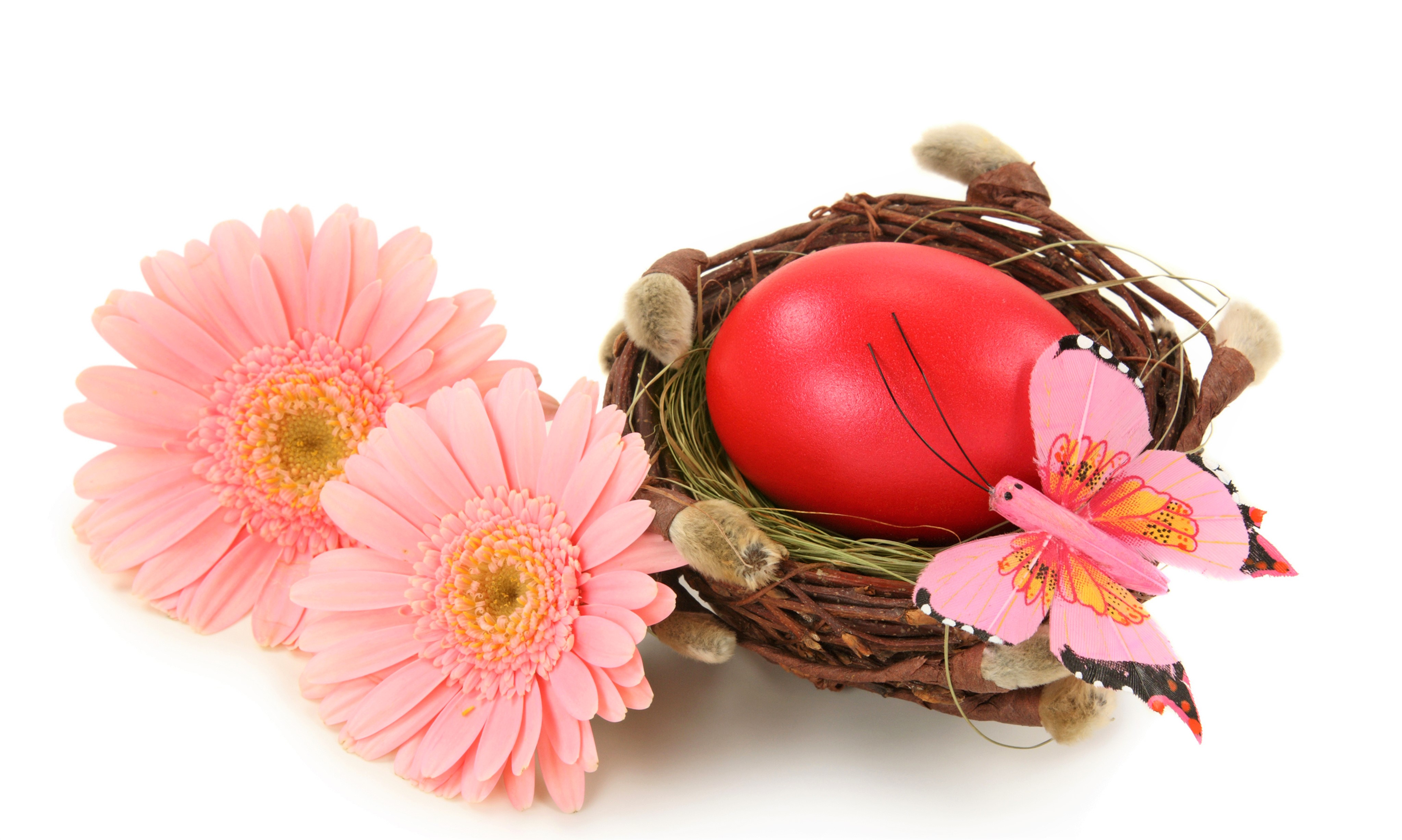 883573 завантажити картинку свято, великдень, пасхальне яйце, квітка, гербера, гніздо, рожева квітка - шпалери і заставки безкоштовно