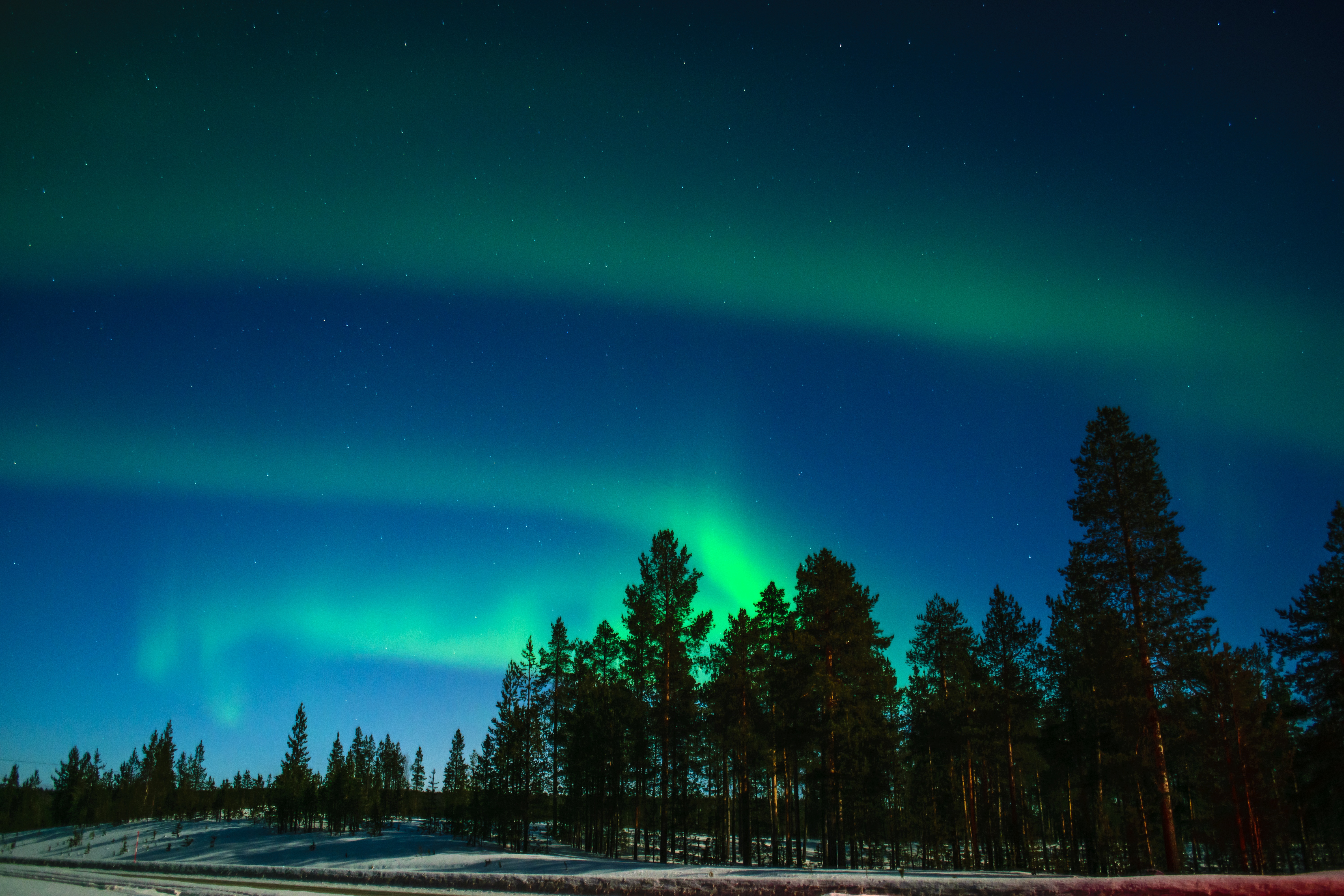82968 Hintergrundbild herunterladen bäume, dunkel, nordlichter, aurora borealis, aurora, das phänomen licht, das phänomen des lichts, lappland - Bildschirmschoner und Bilder kostenlos