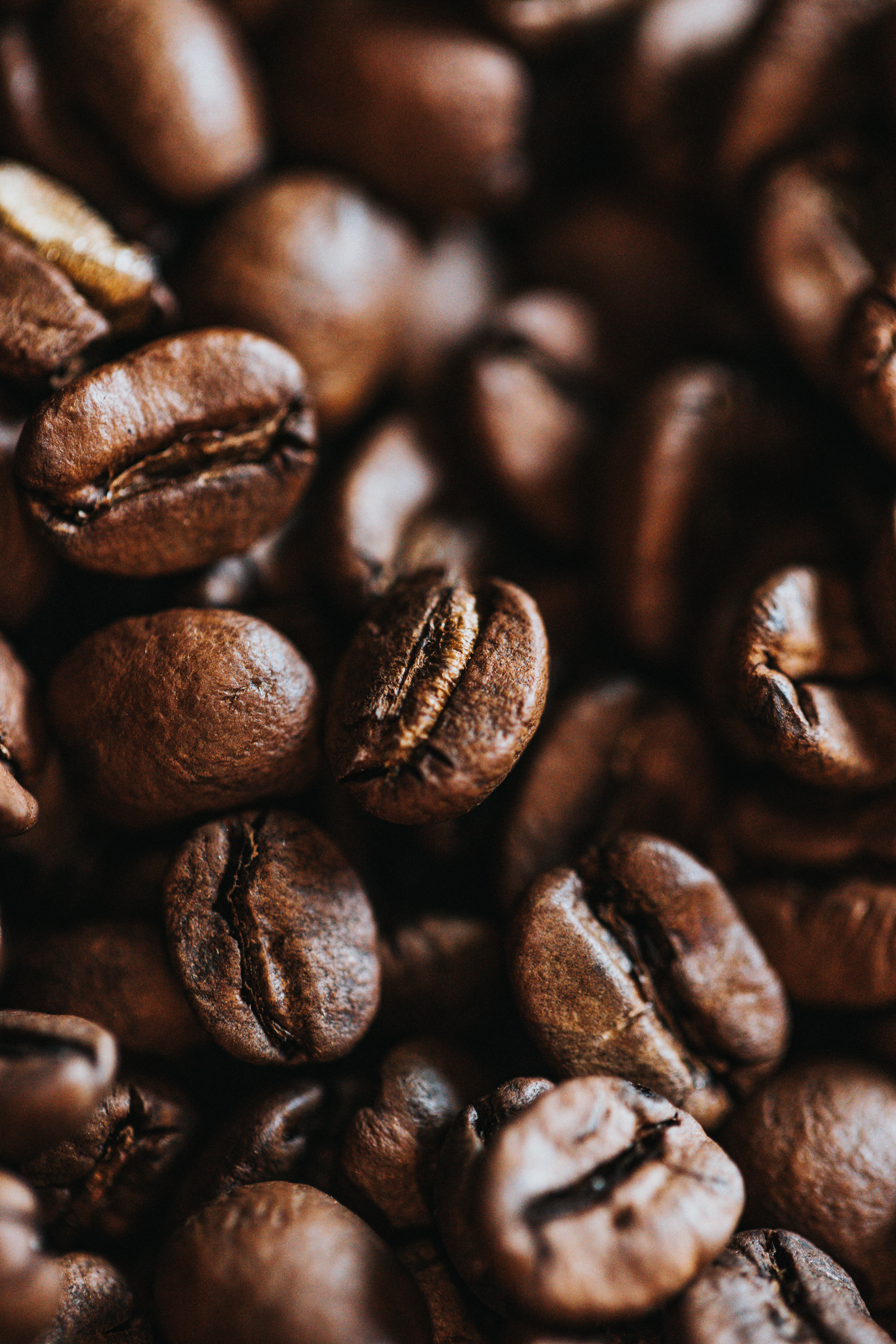 coffee beans, coffee, macro, brown, grains, grain Phone Background