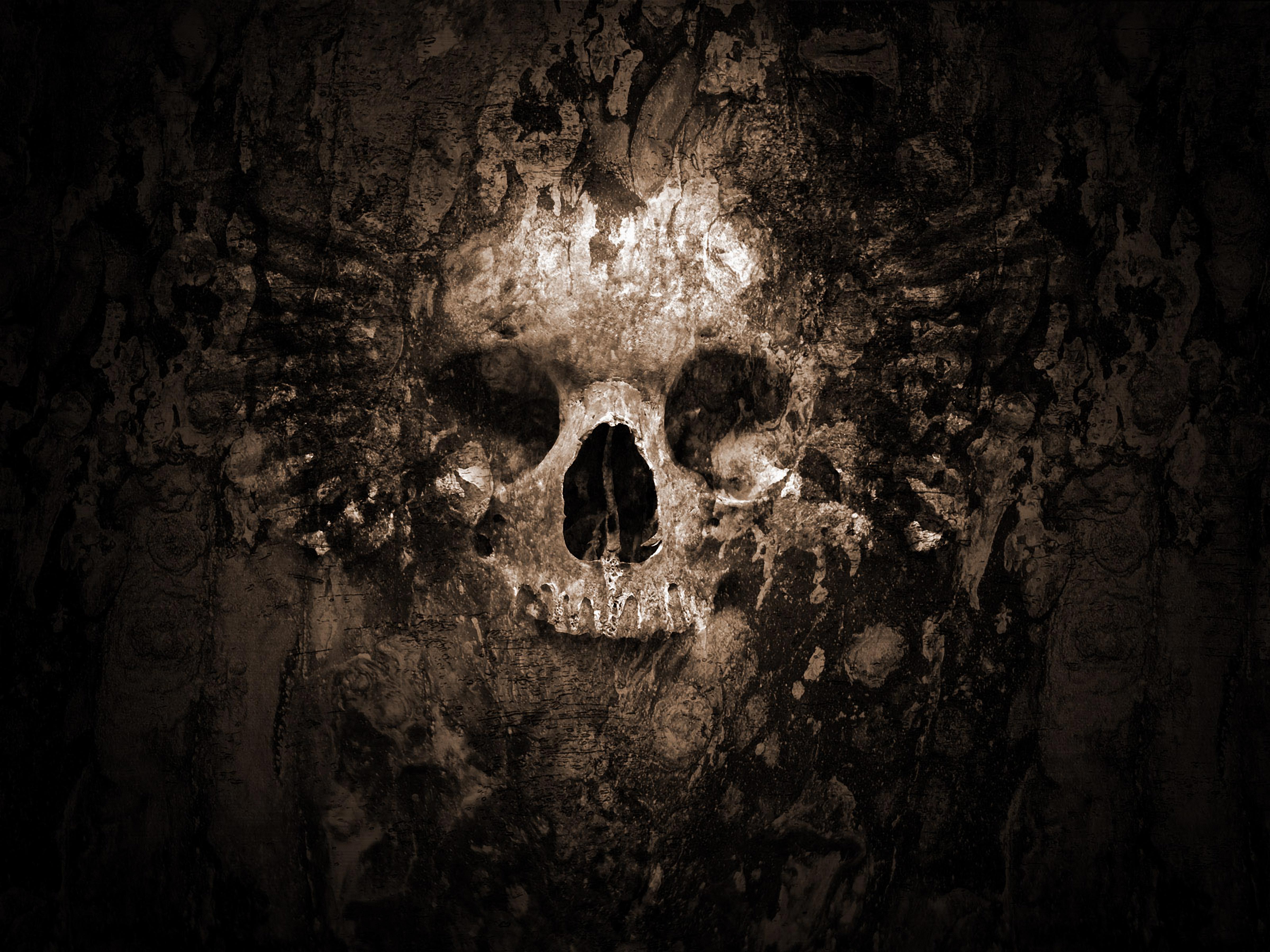 Download mobile wallpaper Skull, Dark for free.