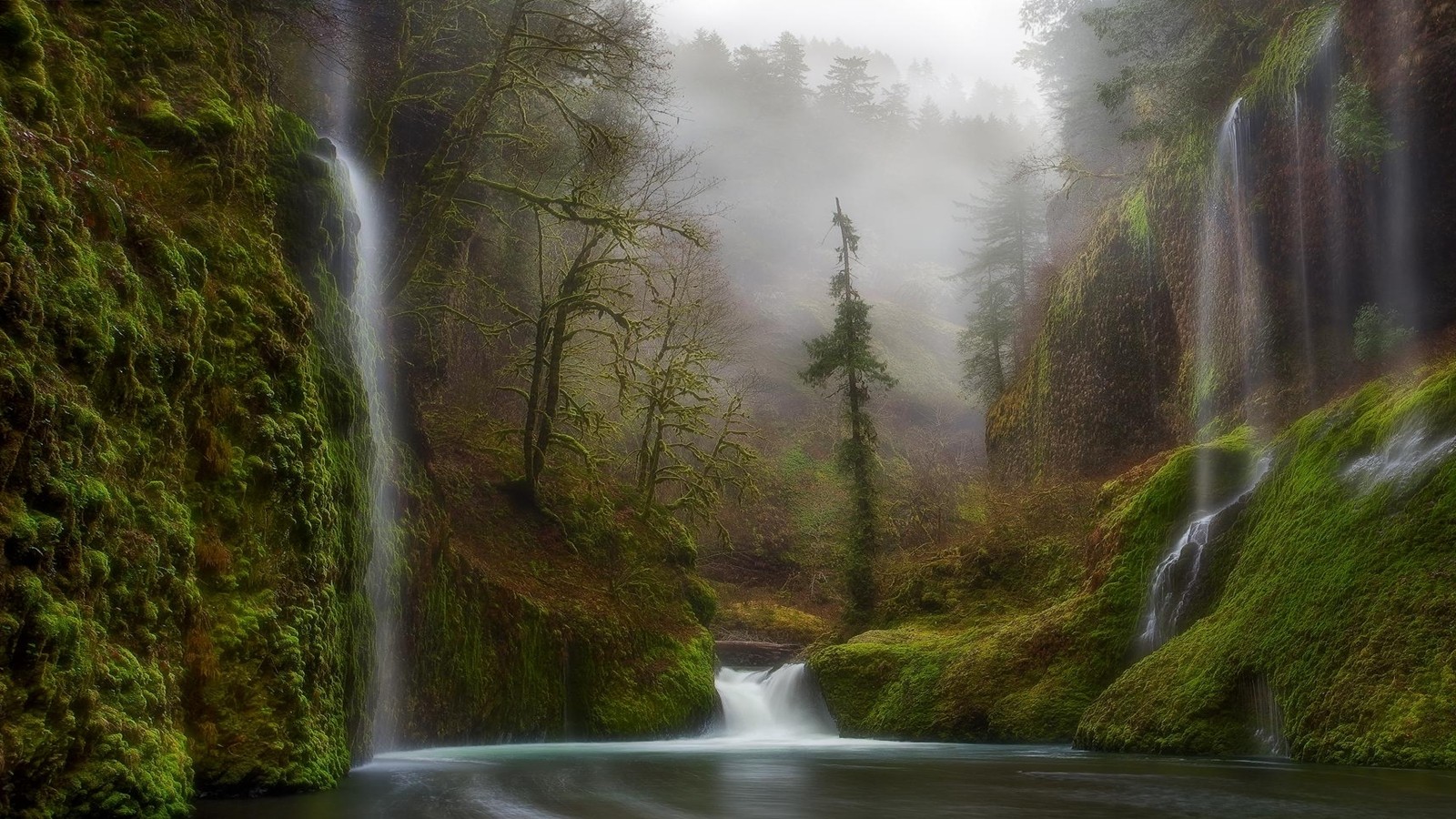 Download mobile wallpaper Nature, Waterfalls, Waterfall, Forest, Fog, Earth, Moss for free.