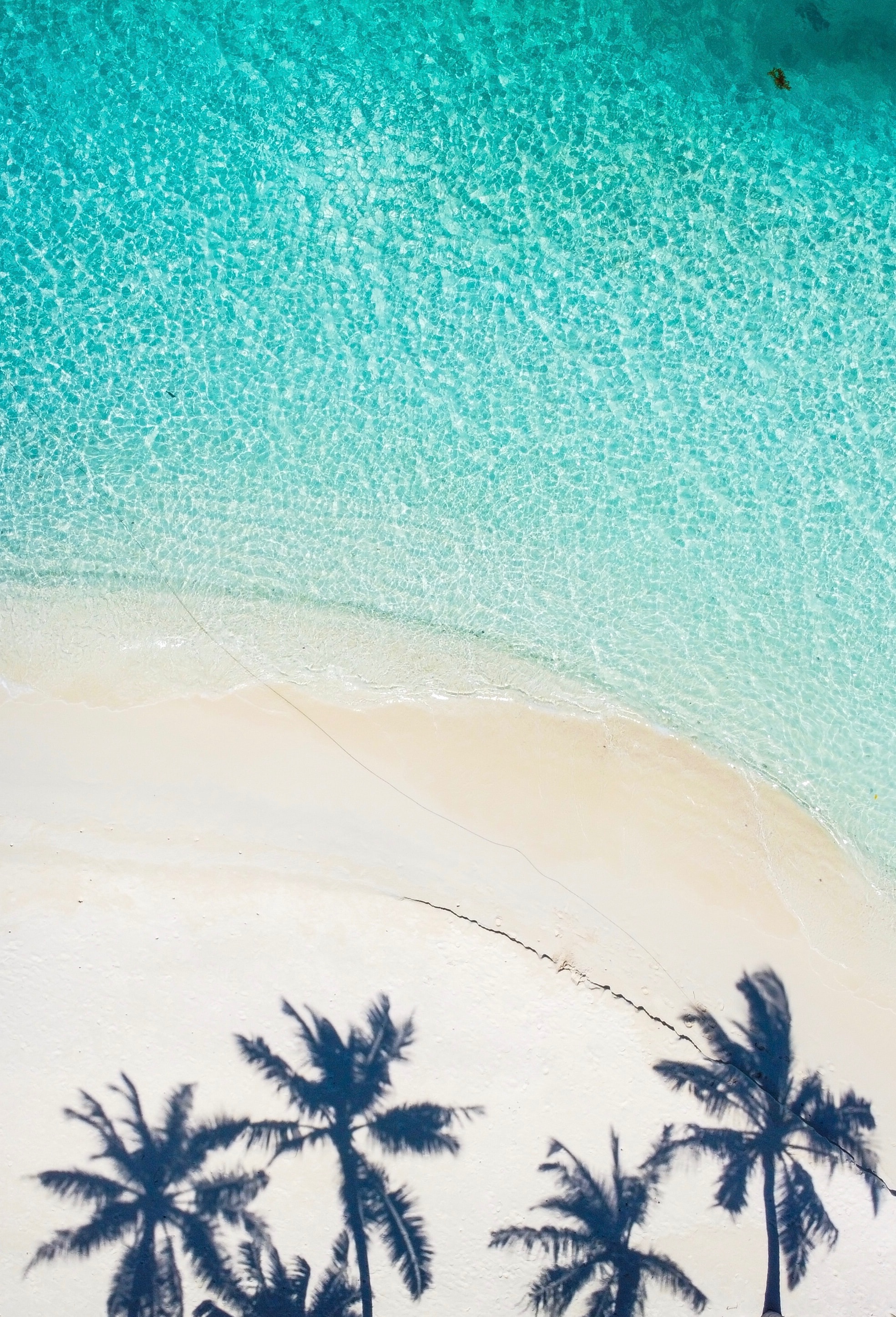 Free download wallpaper Nature, Water, View From Above, Shadow, Palms, Sand, Beach on your PC desktop