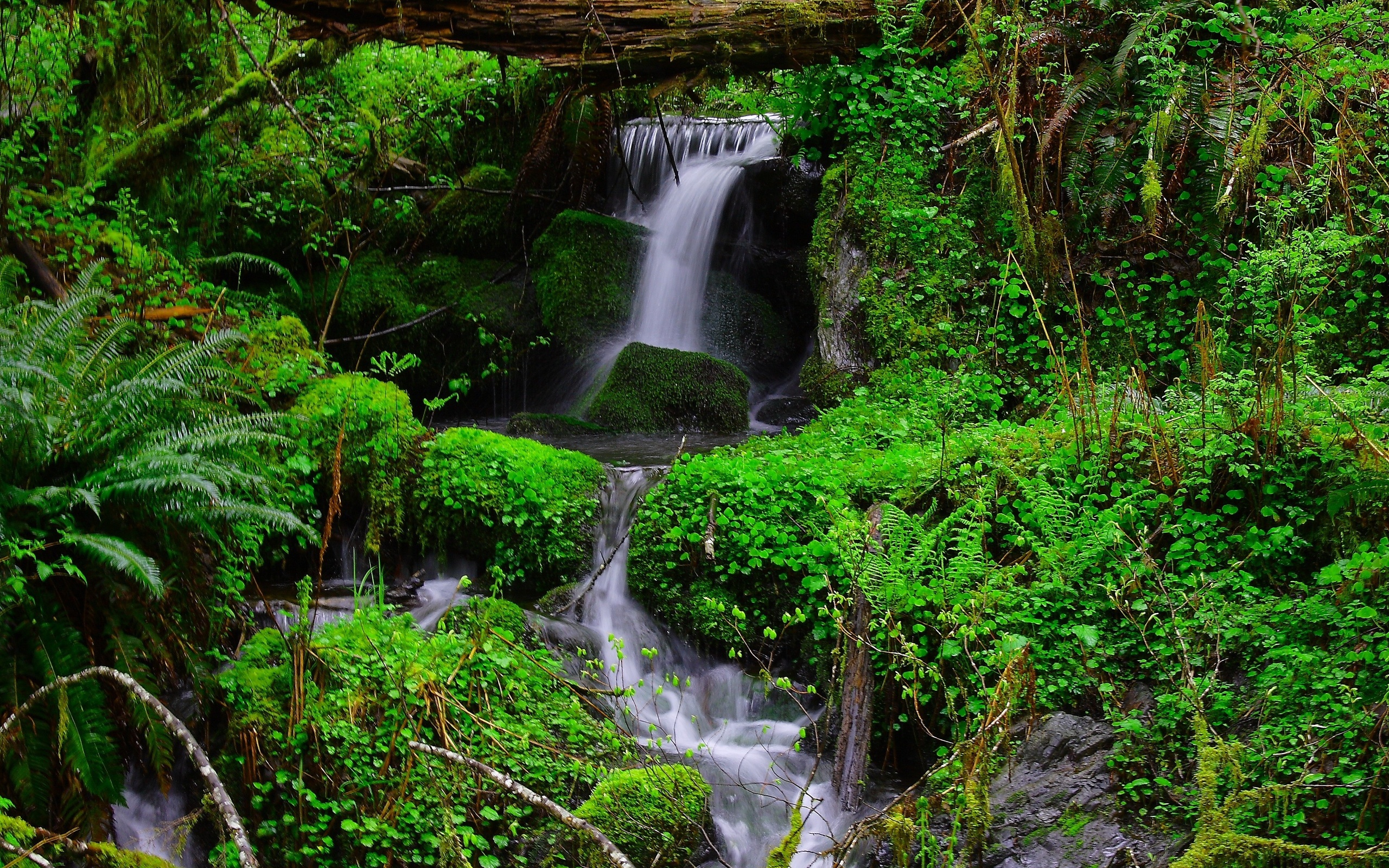 Скачать обои бесплатно Водопады, Водопад, Лес, Дерево, Зеленый, Земля/природа картинка на рабочий стол ПК