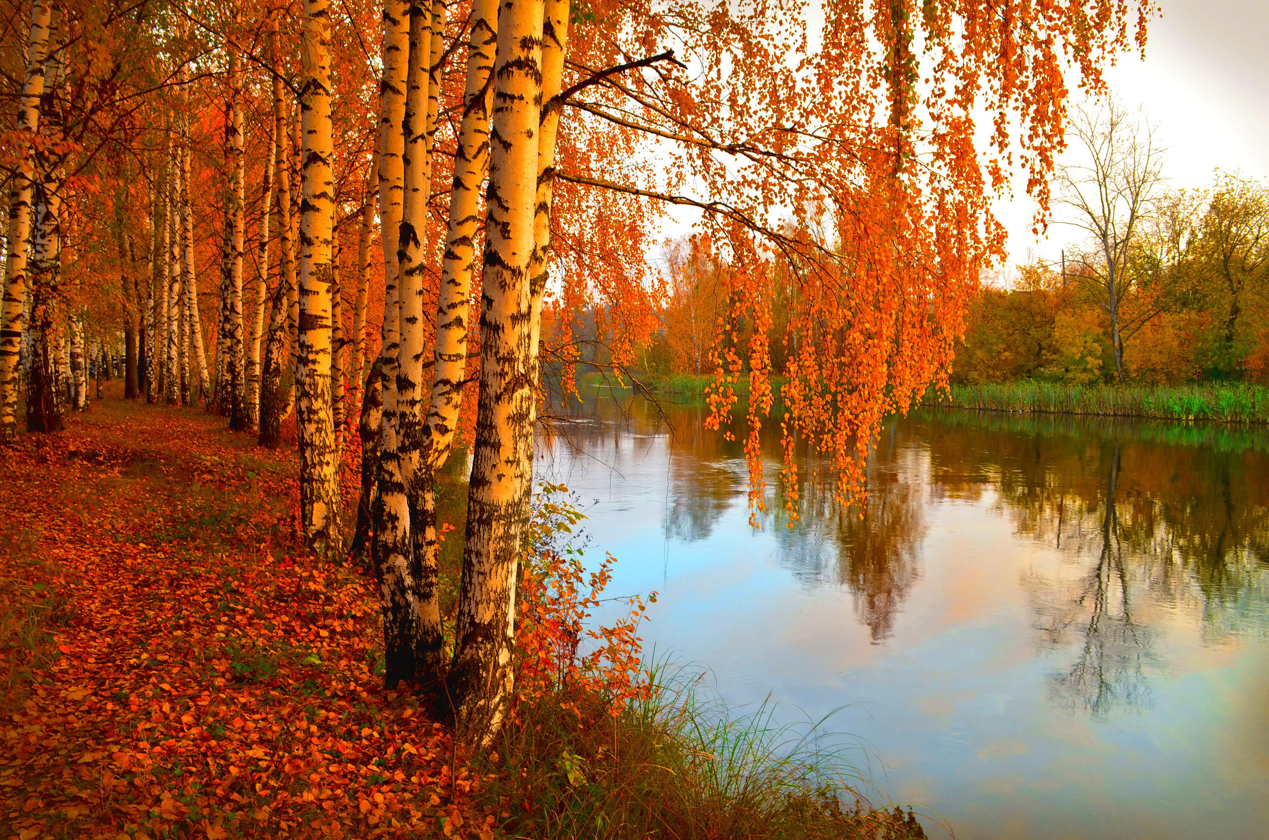 Скачать картинку Осень, Озера, Озеро, Дорога, Дерево, Земля/природа в телефон бесплатно.