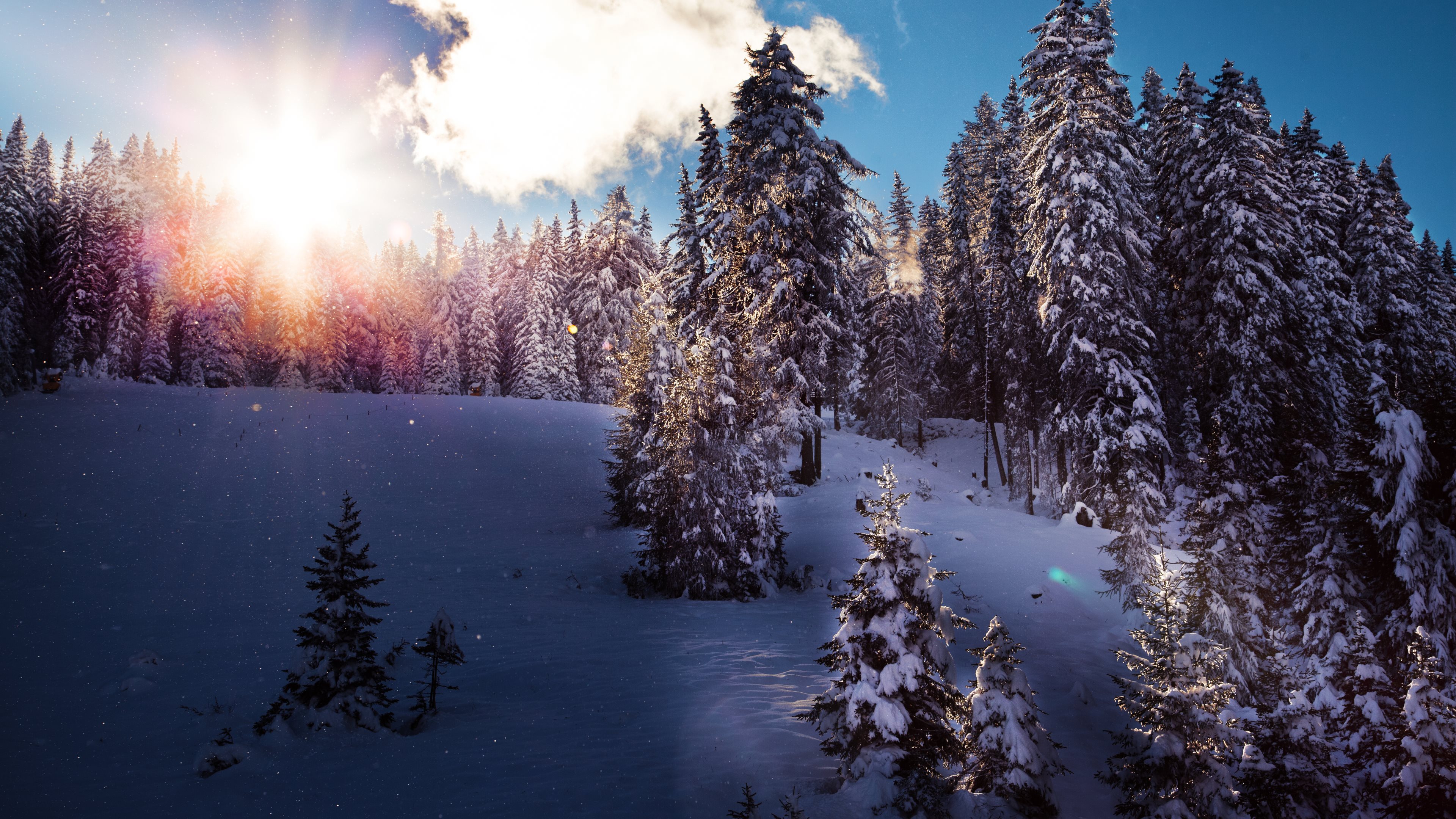 624083 завантажити картинку зима, земля, ліс, сніг, сонячний промінь - шпалери і заставки безкоштовно