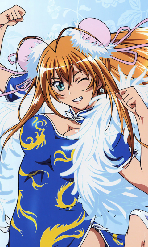 Download mobile wallpaper Anime, Ikki Tousen for free.