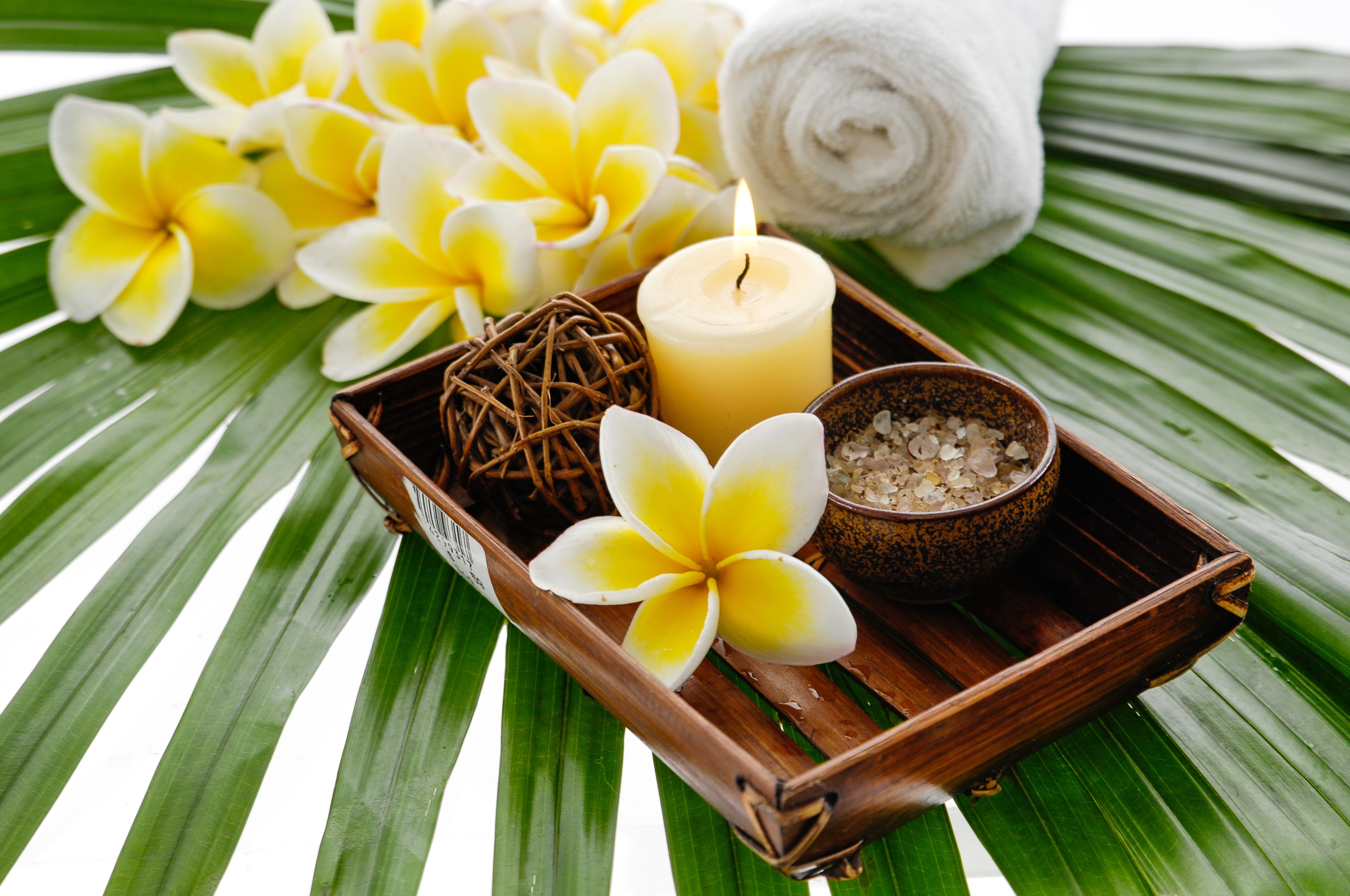 Download mobile wallpaper Still Life, Flower, Candle, Spa, Frangipani, Man Made for free.