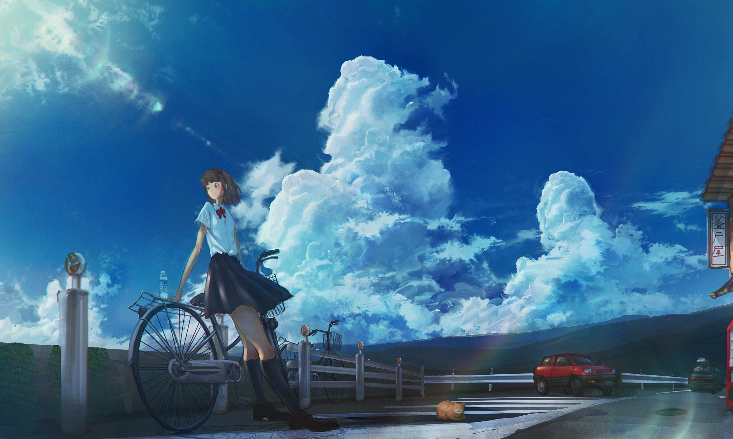 Baixe gratuitamente a imagem Anime, Céu, Gato, Carro, Bicicleta, Nuvem, Original na área de trabalho do seu PC