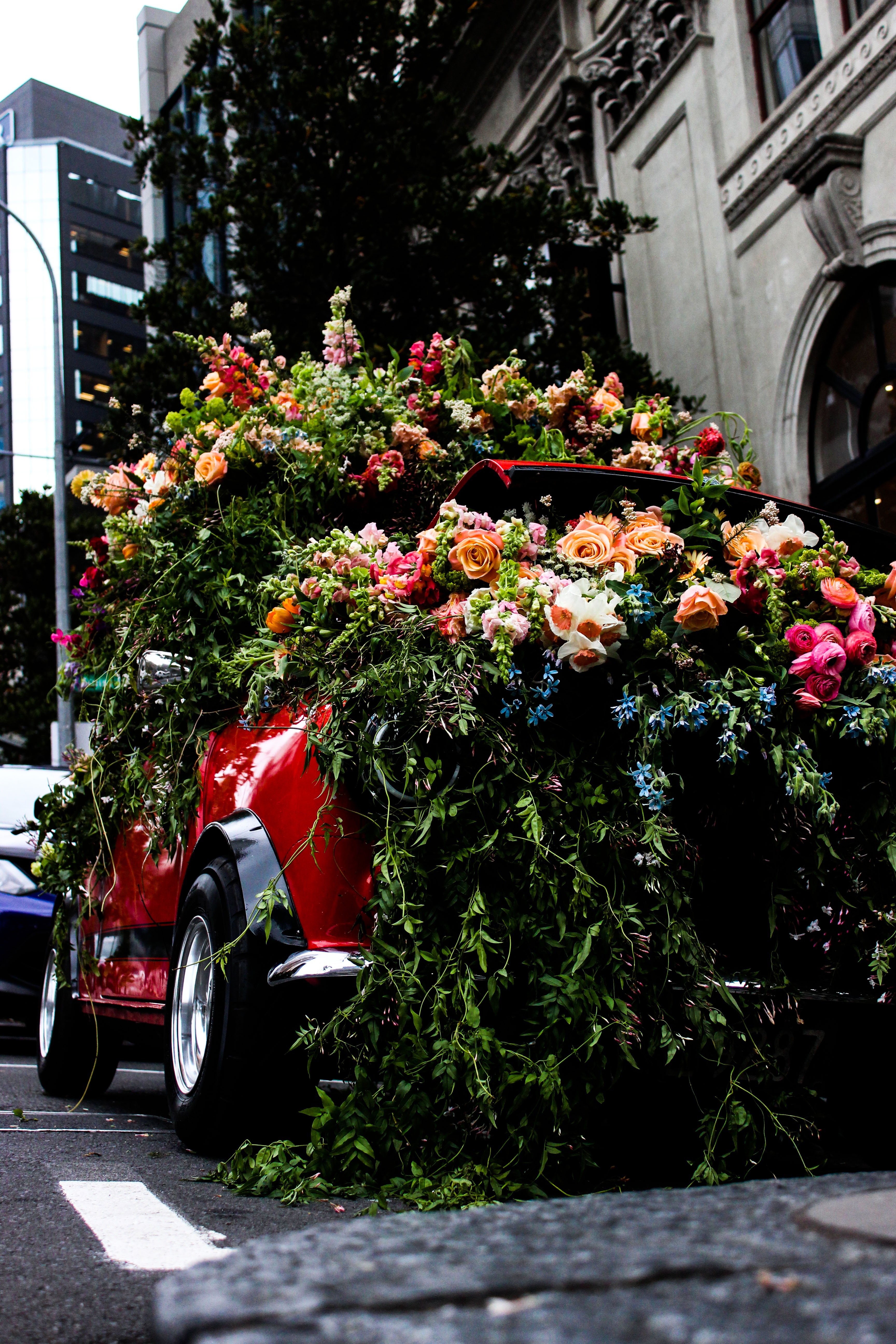 flowers, bouquets, car
