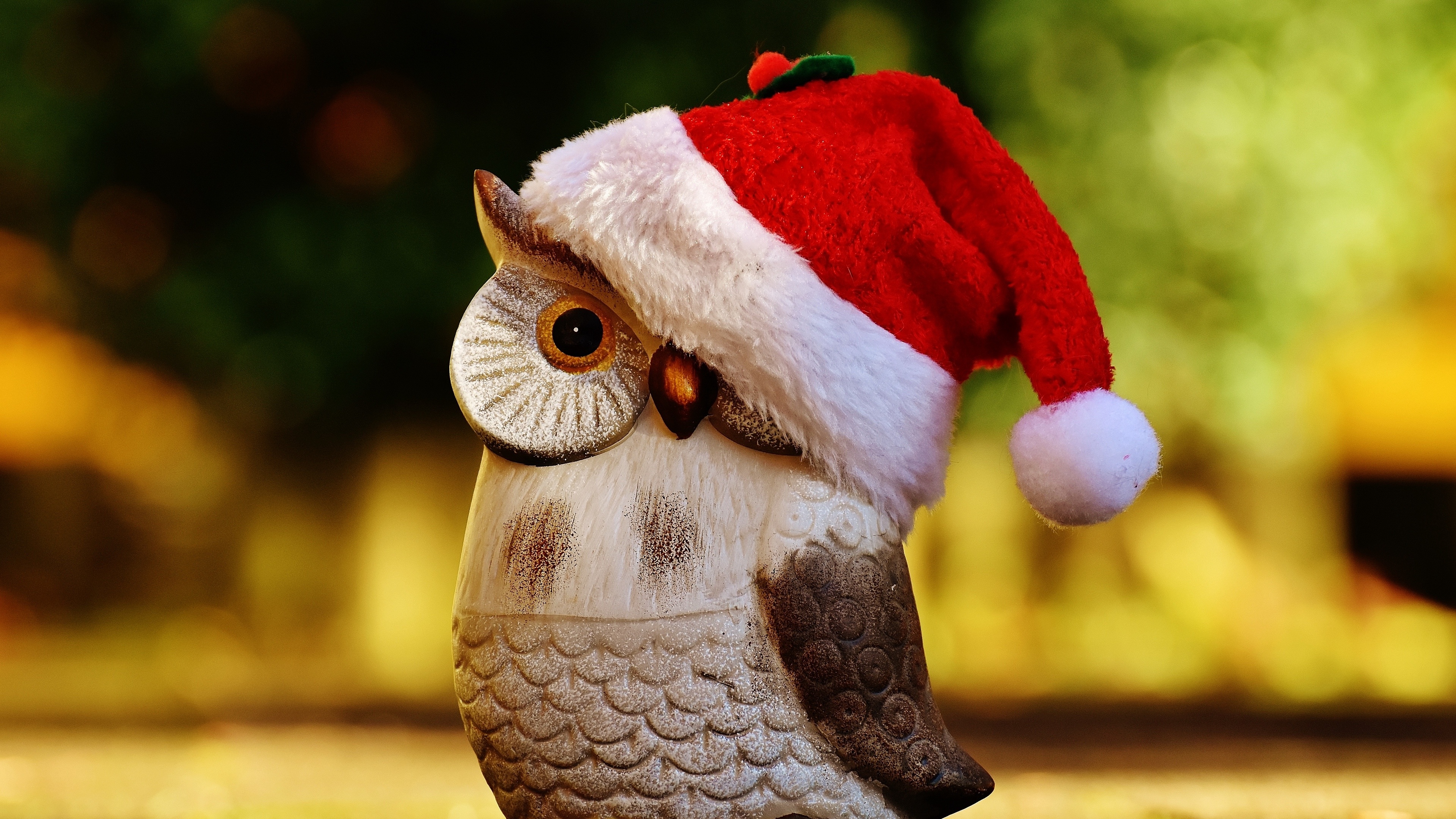 Téléchargez des papiers peints mobile Noël, Hibou, Vacances, Chapeau De Père Noël gratuitement.