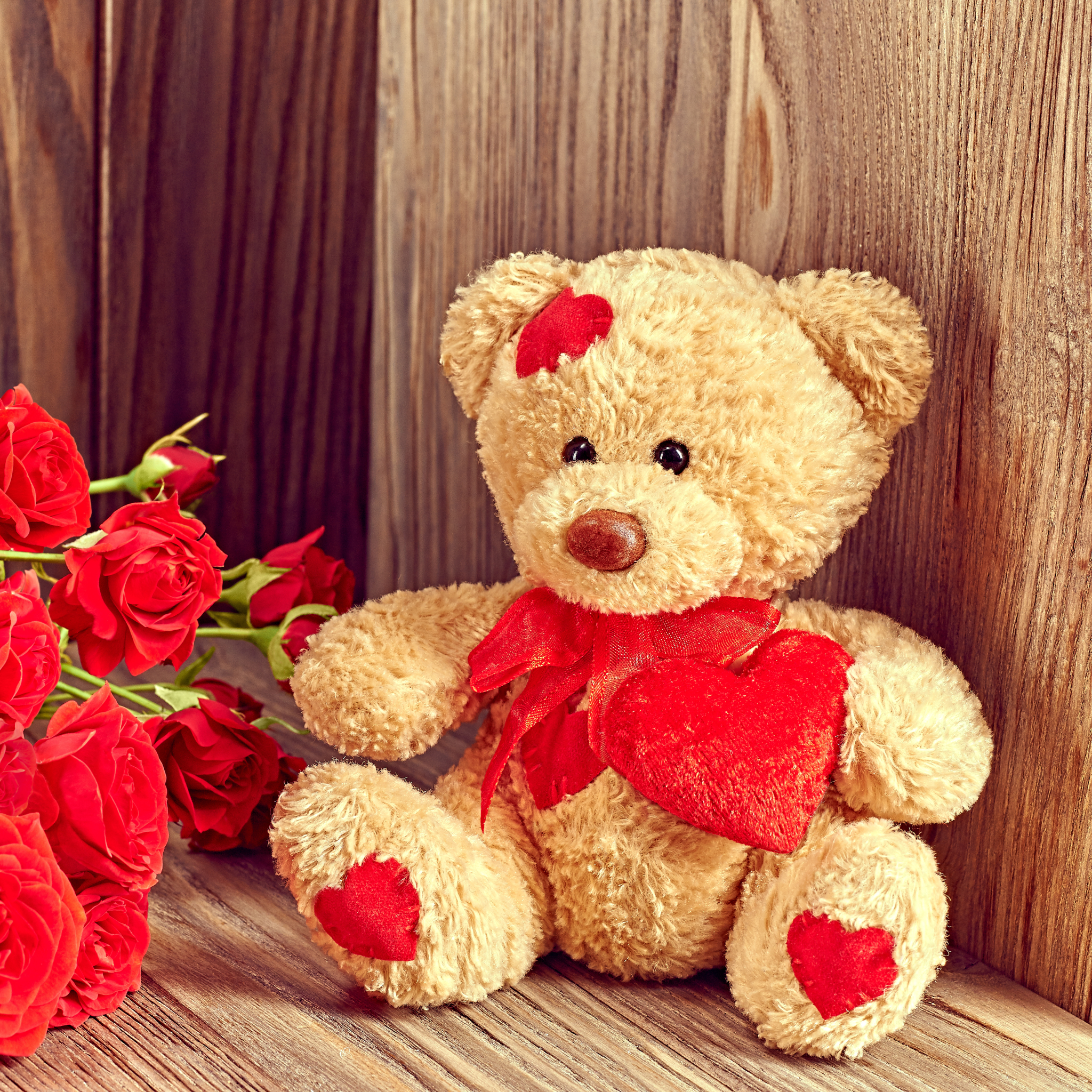 Laden Sie das Feiertage, Liebe, Valentinstag, Teddybär, Blume, Rose, Rote Rose-Bild kostenlos auf Ihren PC-Desktop herunter