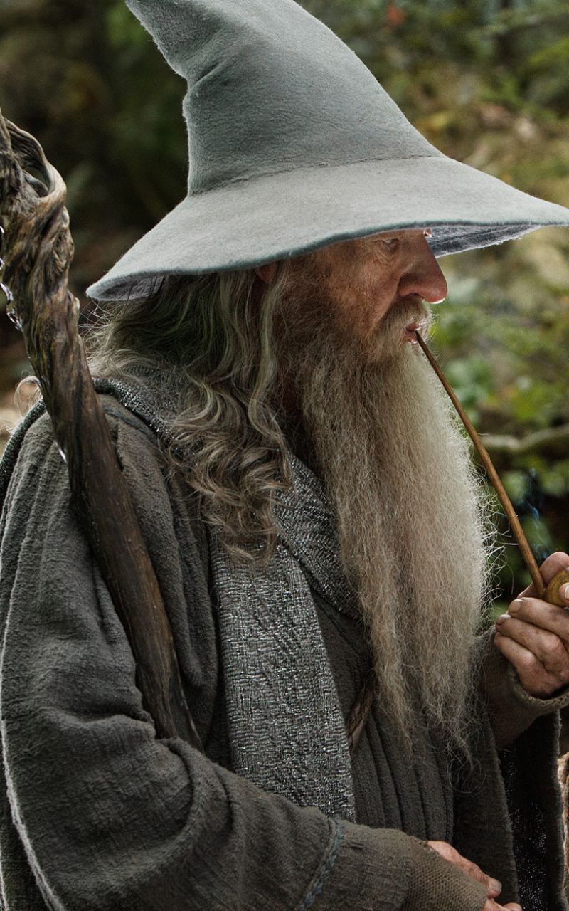 Téléchargez des papiers peints mobile Le Seigneur Des Anneaux, Film, Gandalf, Ian Mckellen, Le Hobbit : La Désolation De Smaug gratuitement.