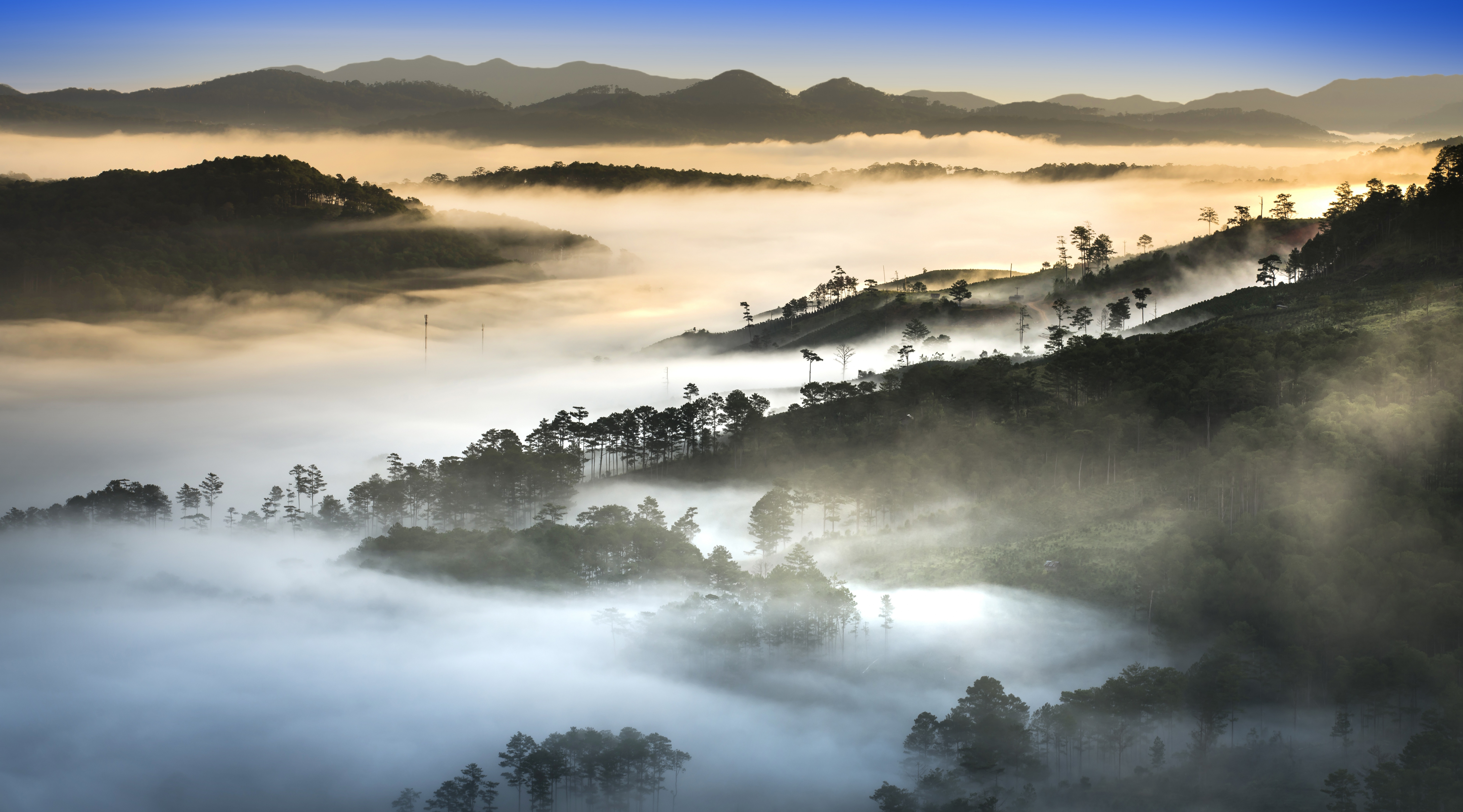 Скачать обои бесплатно Лес, Туман, Вьетнам, Земля/природа картинка на рабочий стол ПК