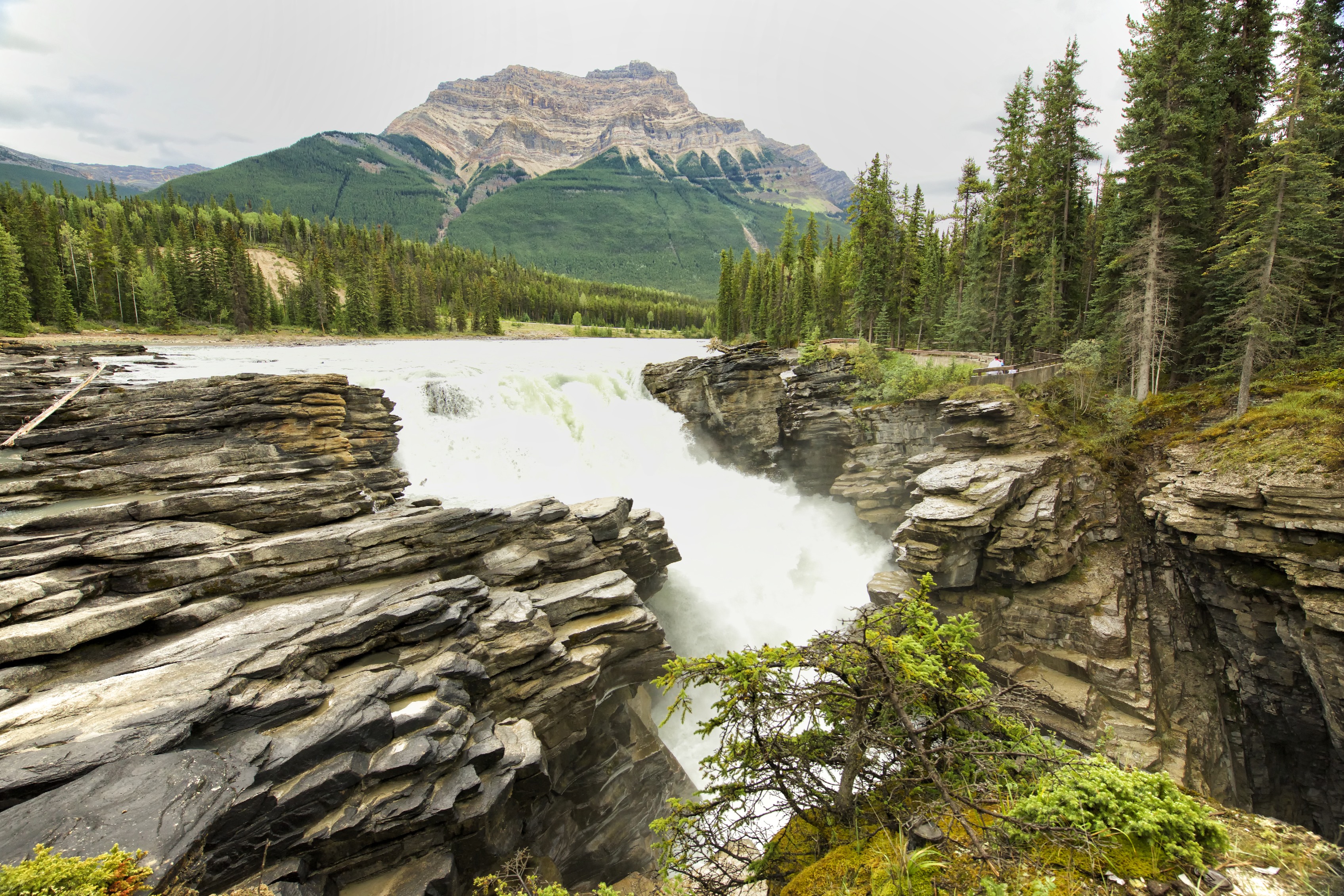 canada, earth, athabasca falls, forest, jasper national park, mountain, nature, river, waterfall, waterfalls