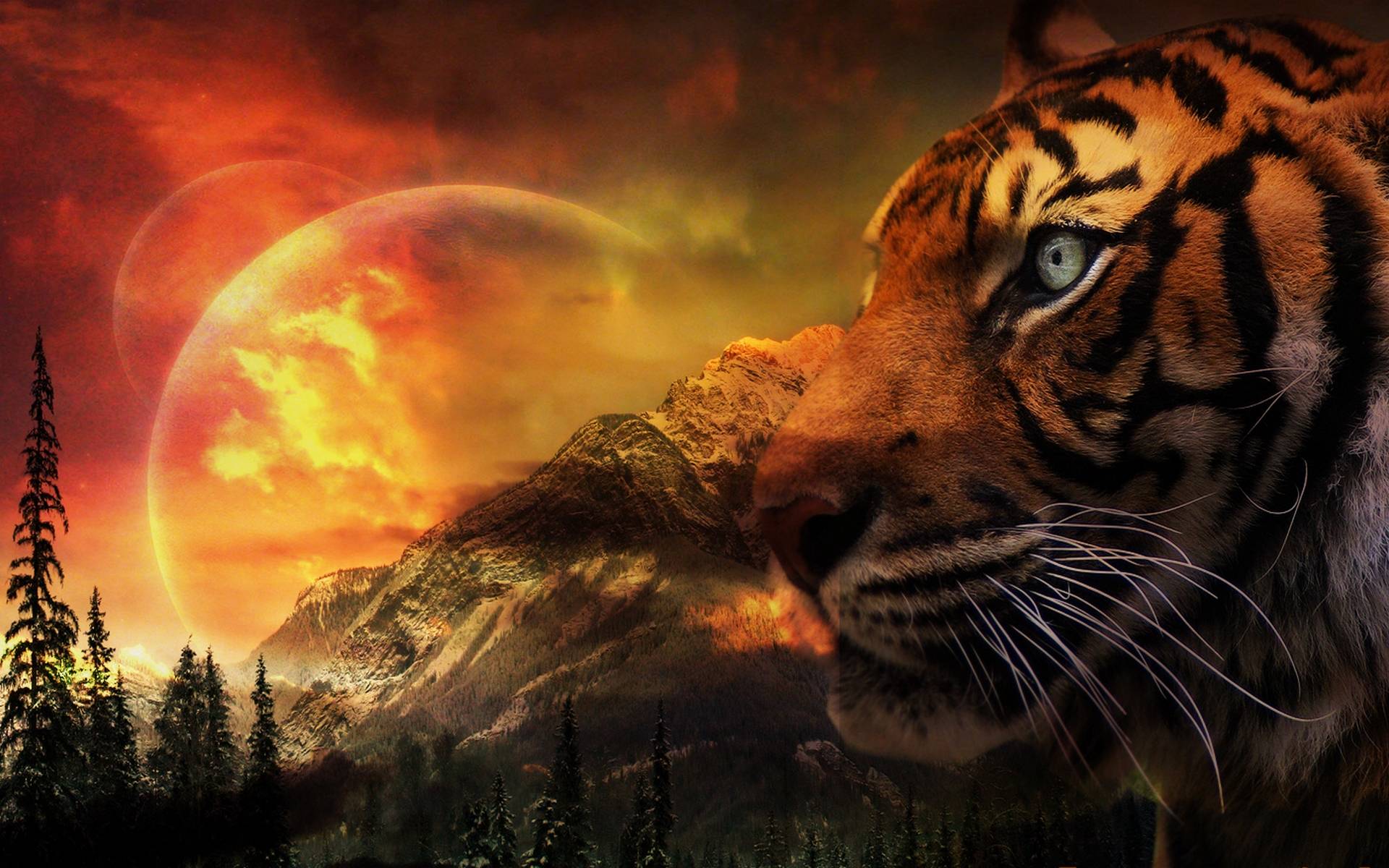 Descarga gratuita de fondo de pantalla para móvil de Fantasía, Tigre, Animales De Fantasía.