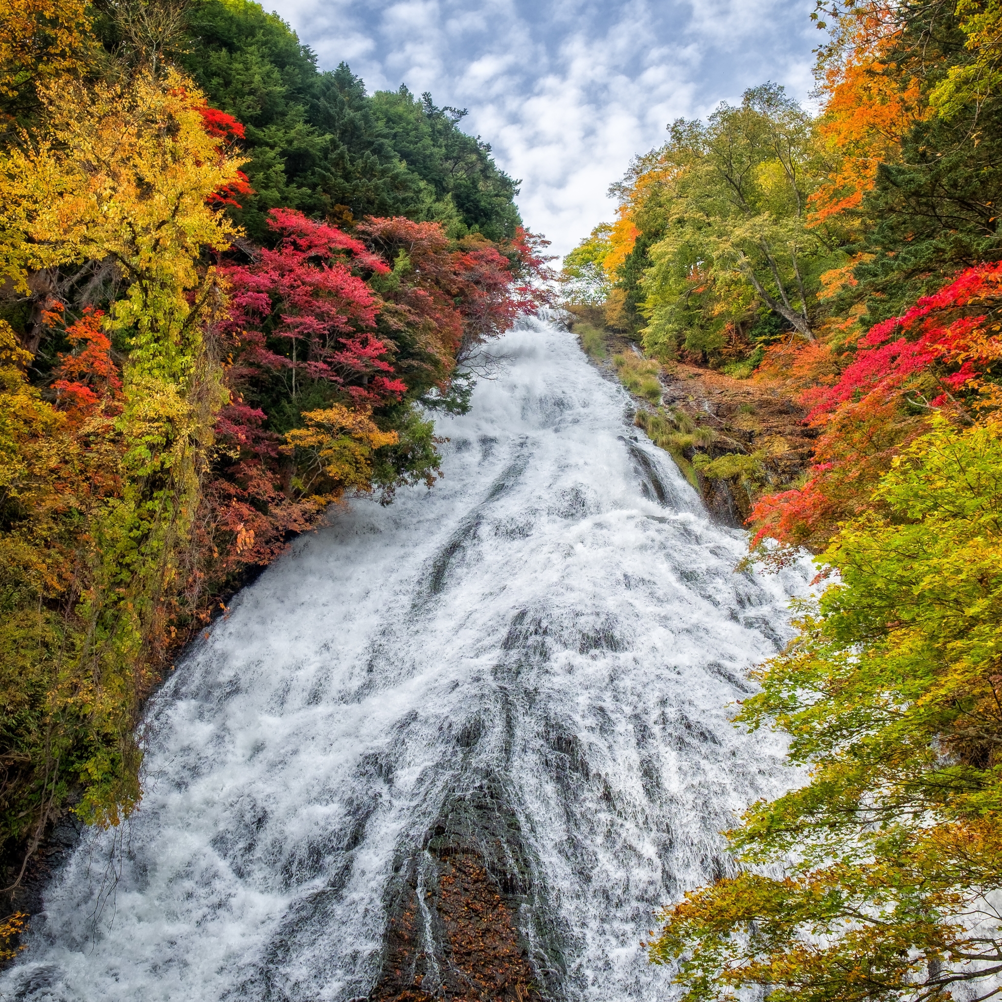 Download mobile wallpaper Nature, Waterfalls, Waterfall, Tree, Fall, Earth, Japan for free.