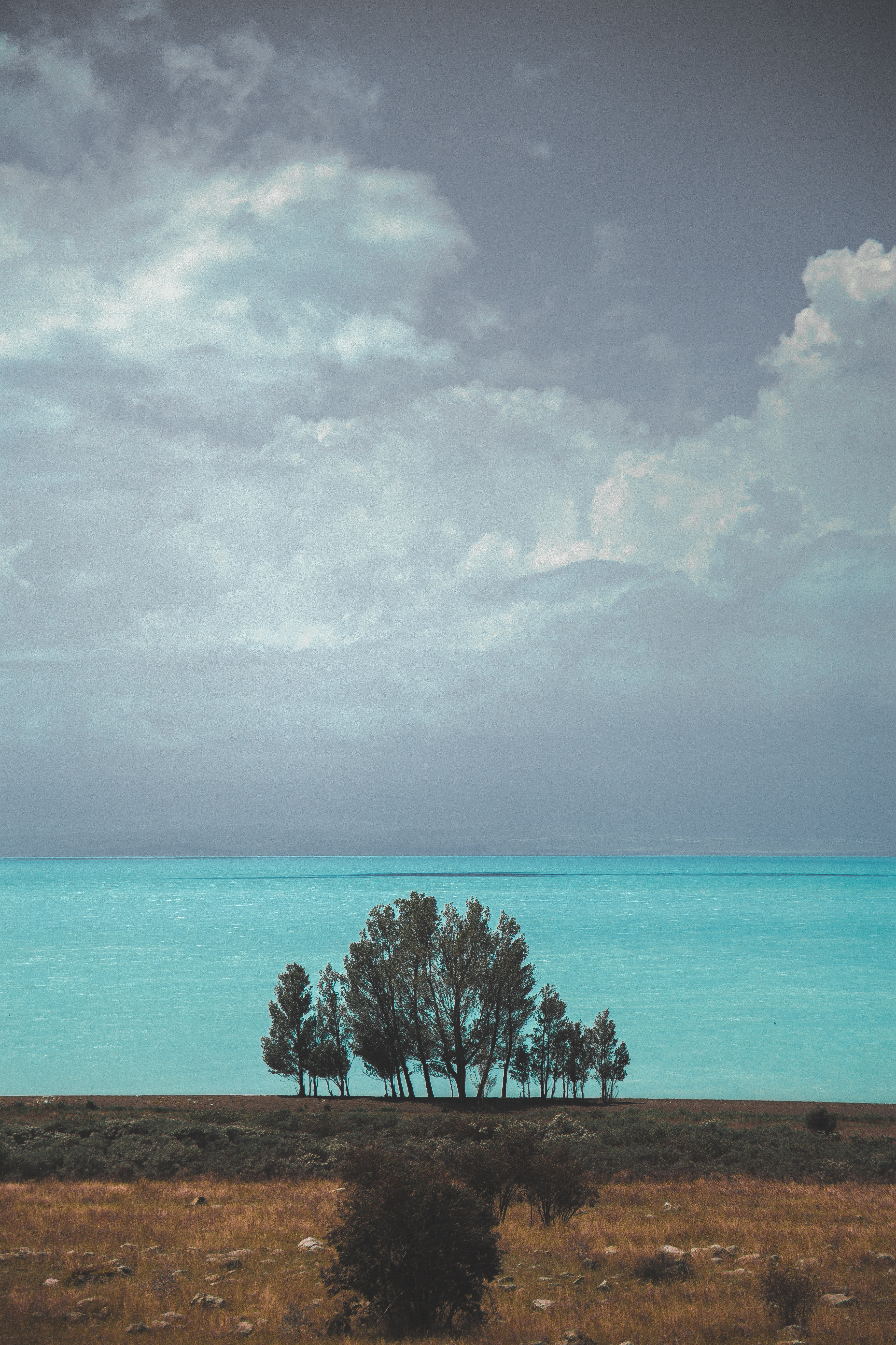 139020 descargar imagen naturaleza, árboles, mar, nubes, horizonte, armenia: fondos de pantalla y protectores de pantalla gratis