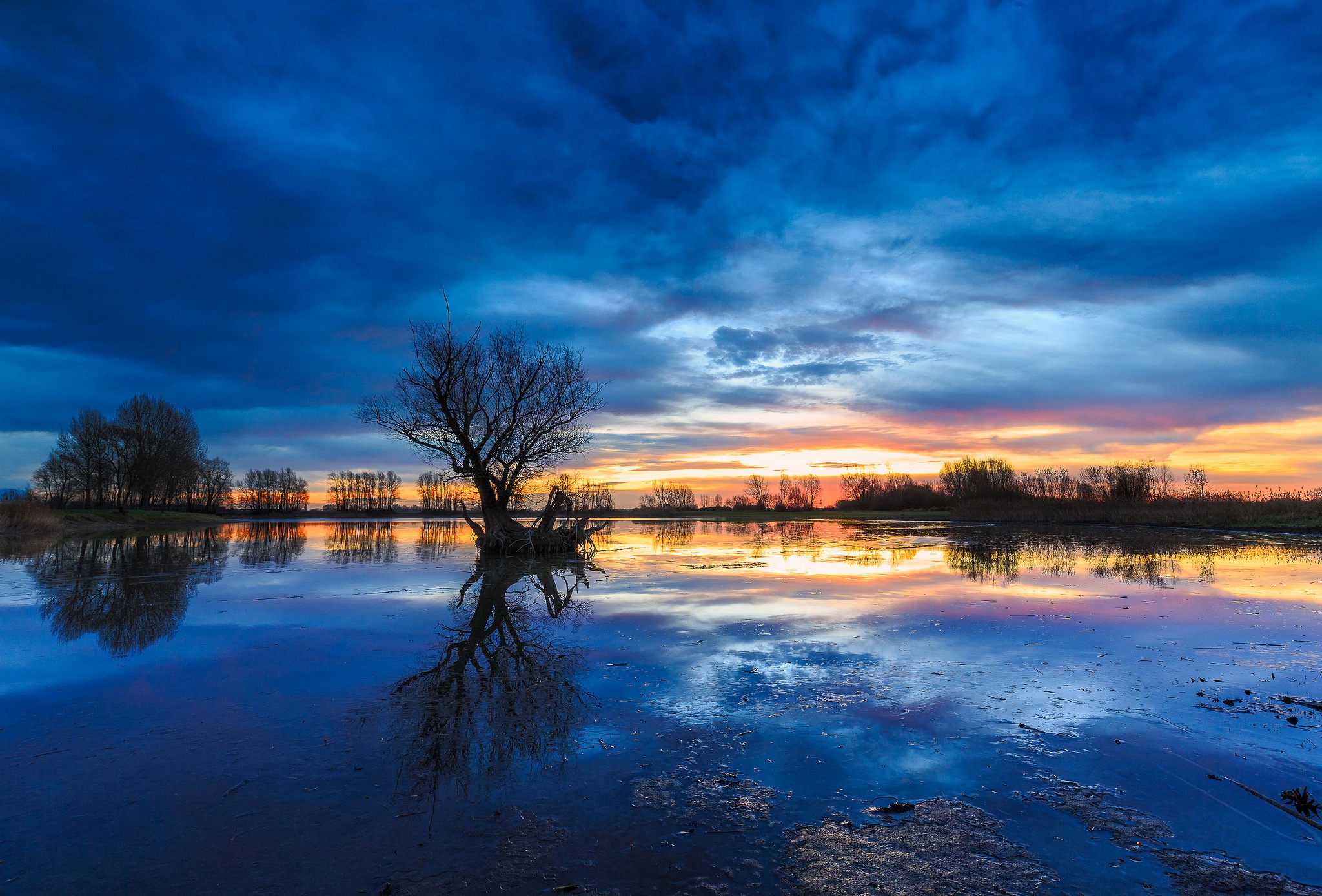 Download mobile wallpaper Nature, Lake, Reflection, Tree, Sunrise, Earth for free.