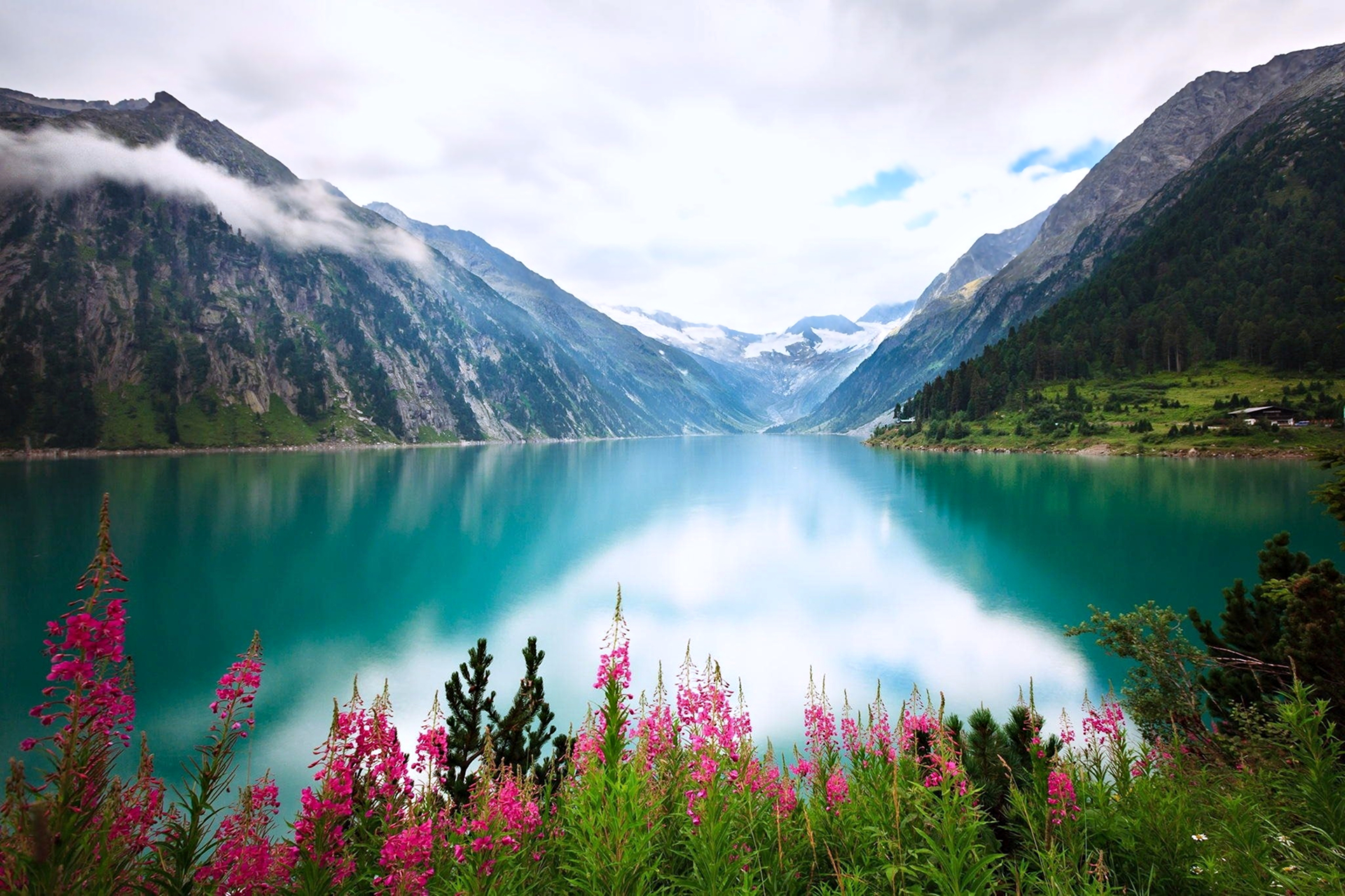 Download mobile wallpaper Lakes, Lake, Nature, Flower, Mountain, Earth, Landscape for free.