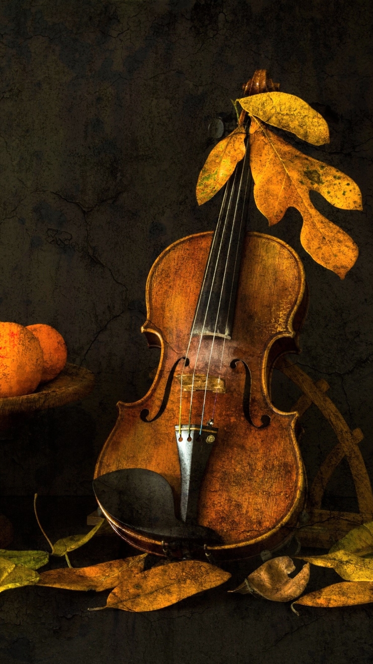 Download mobile wallpaper Still Life, Leaf, Fall, Photography, Violin for free.