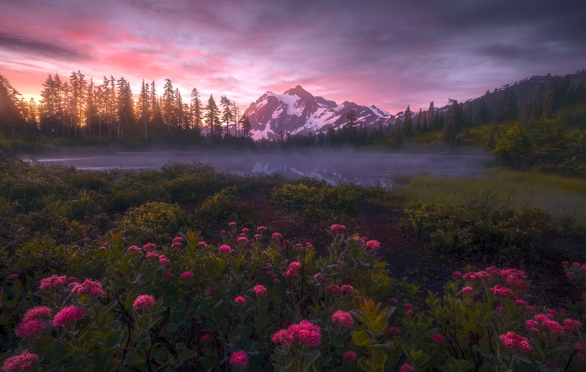 Descarga gratis la imagen Naturaleza, Flores, Montaña, Flor, Atardecer, Tierra/naturaleza en el escritorio de tu PC