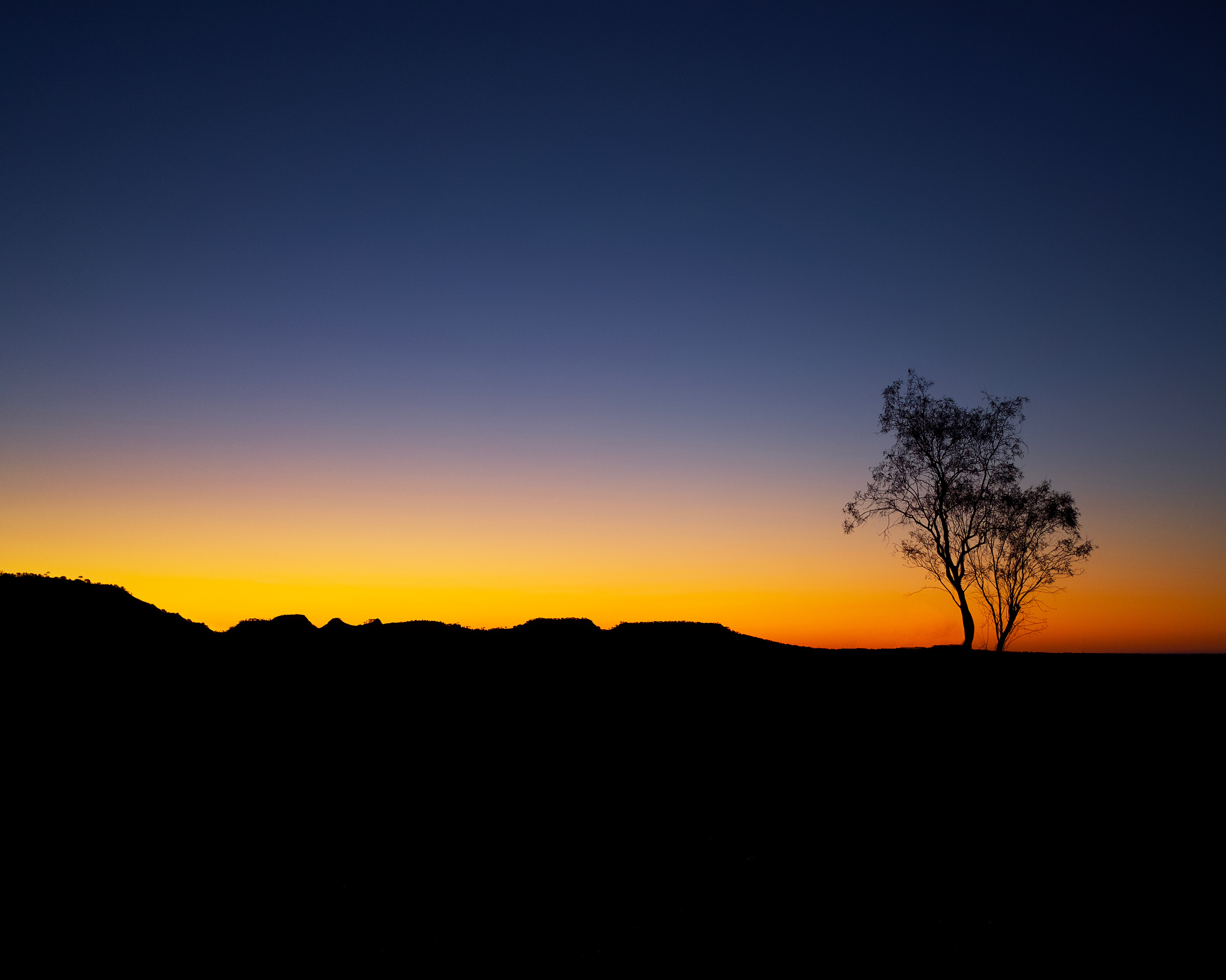 Laden Sie das Sunset, Sky, Horizont, Holz, Baum, Umriss, Gliederung, Natur-Bild kostenlos auf Ihren PC-Desktop herunter