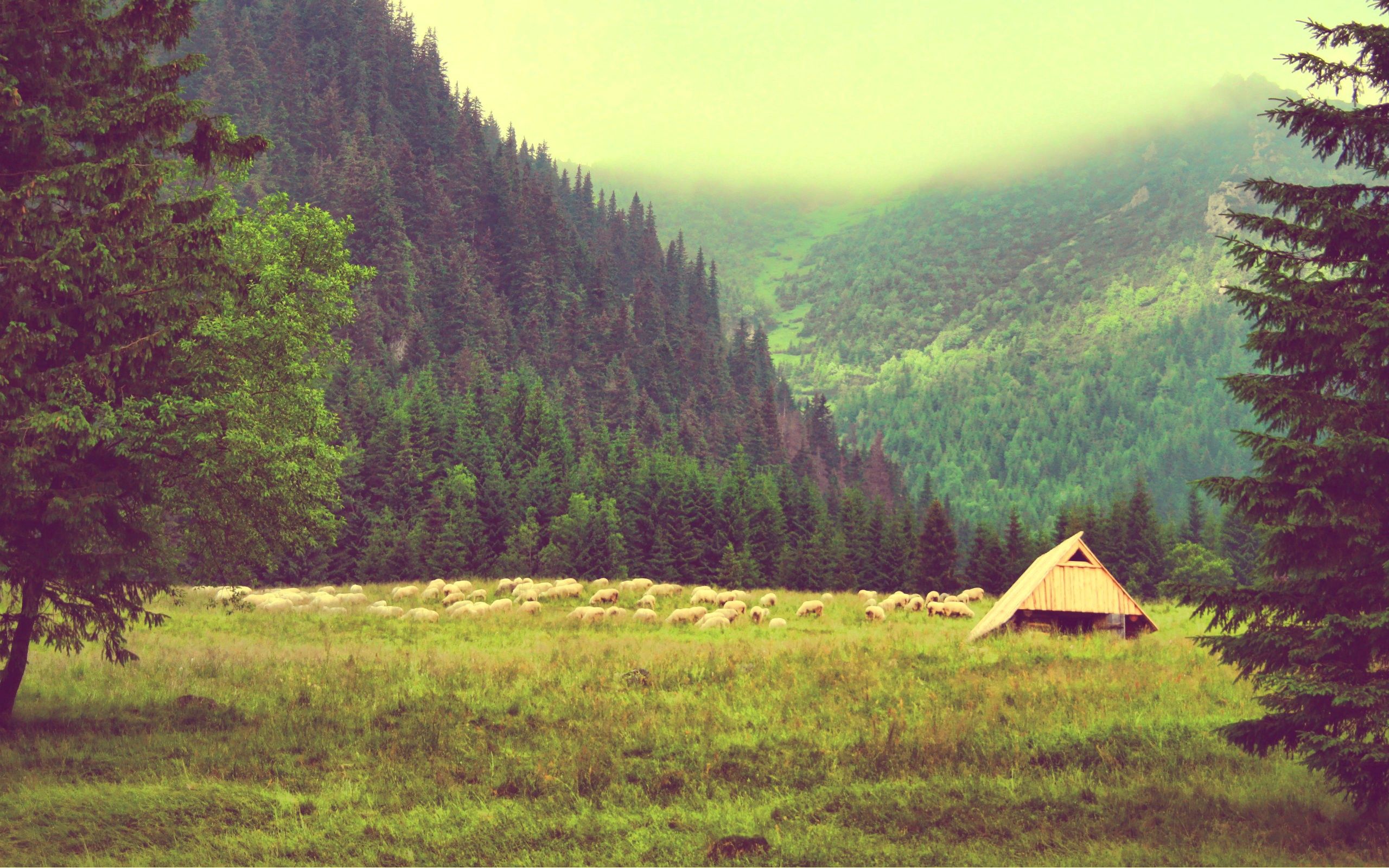 Laden Sie das Bäume, Natur, Sky, Mountains, Sommer-Bild kostenlos auf Ihren PC-Desktop herunter