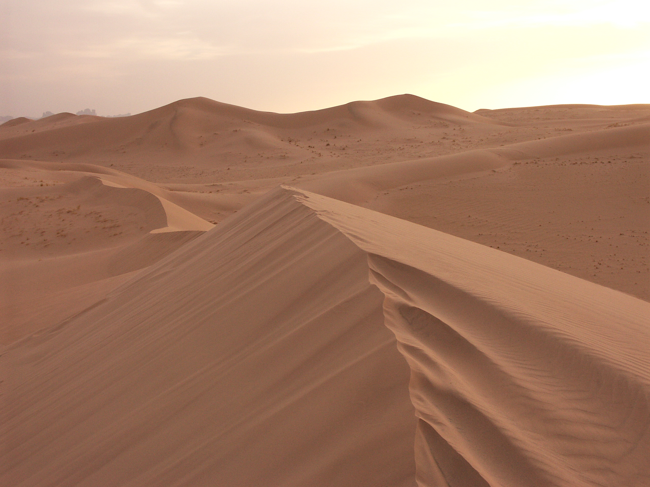 Скачати мобільні шпалери Пейзаж, Пісок, Пустеля, Земля, Дюна, Сахара, Африка, Алжир безкоштовно.